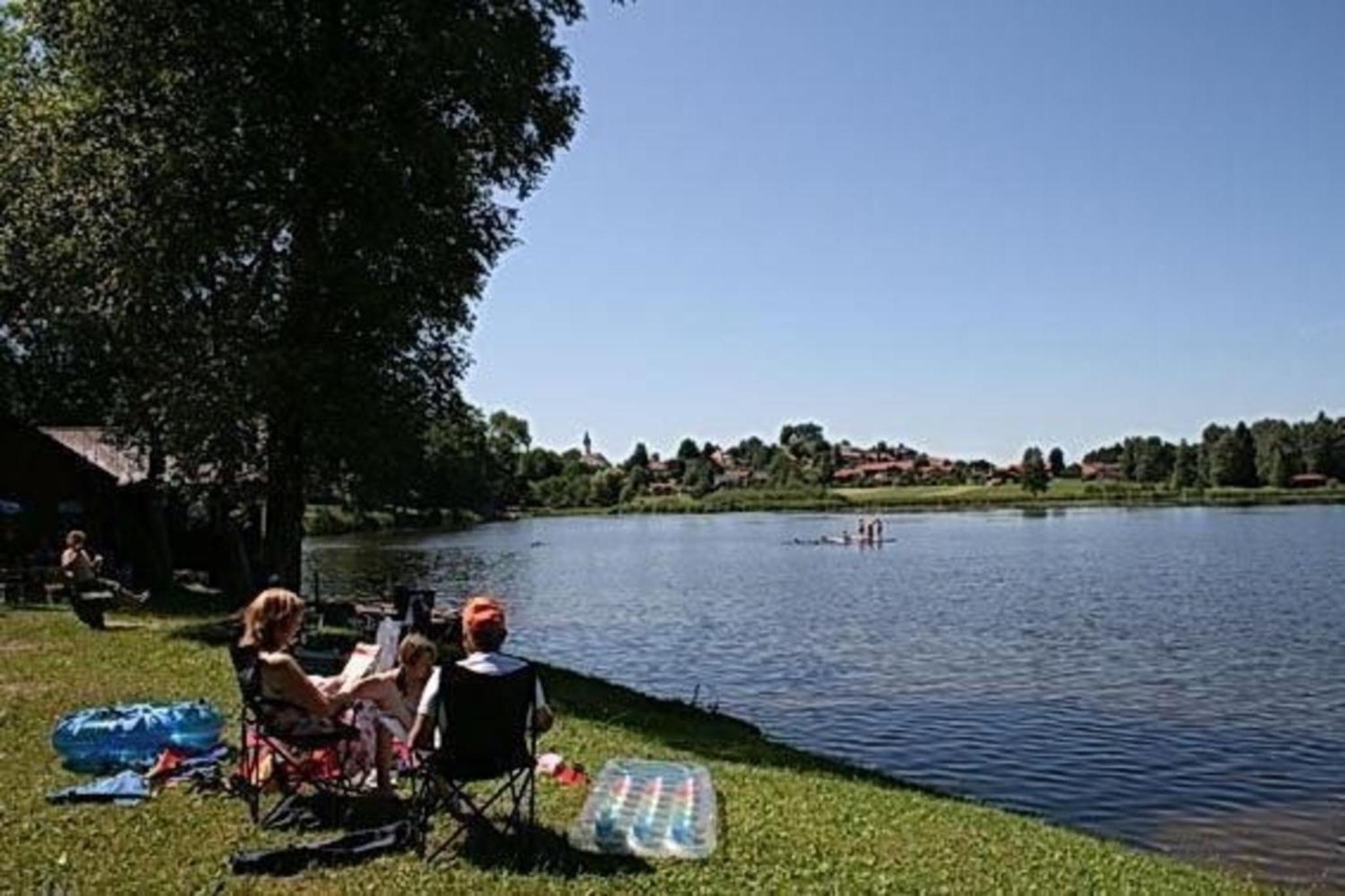 Schwalbe