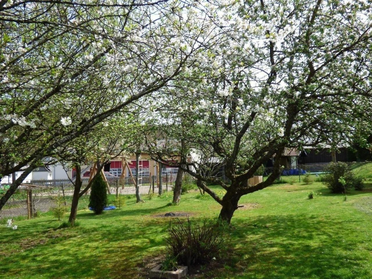 Ferienwohnung In Siesbach