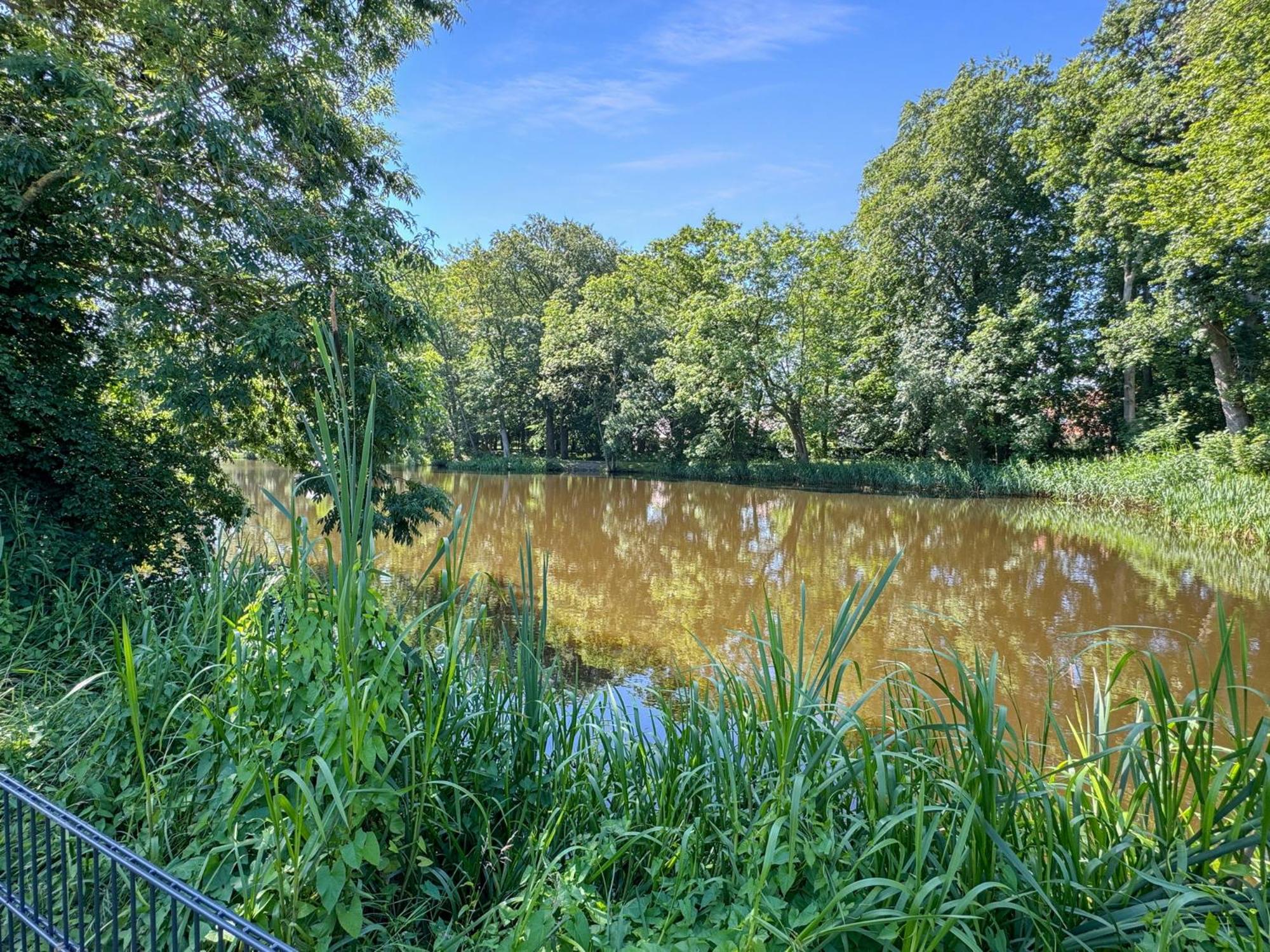 CBlue: Seeblick, Kamin, Wallbox, Natur
