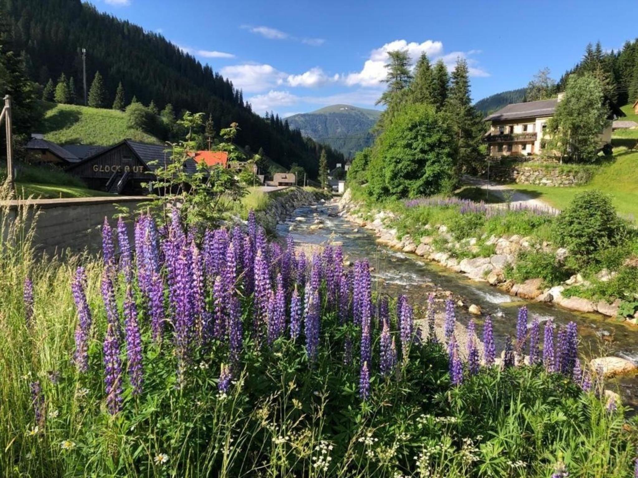Berghof Turrach