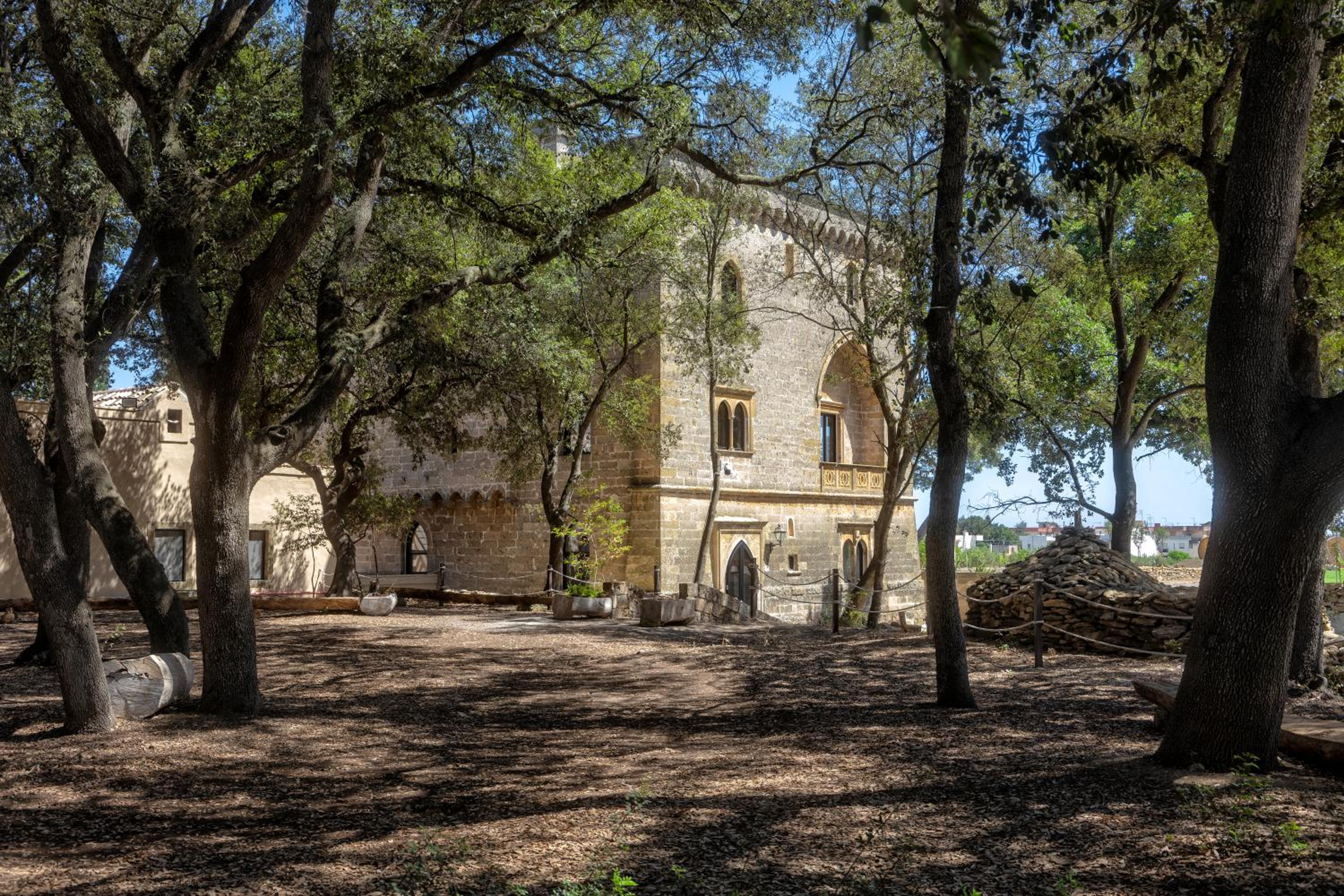 Photo 23