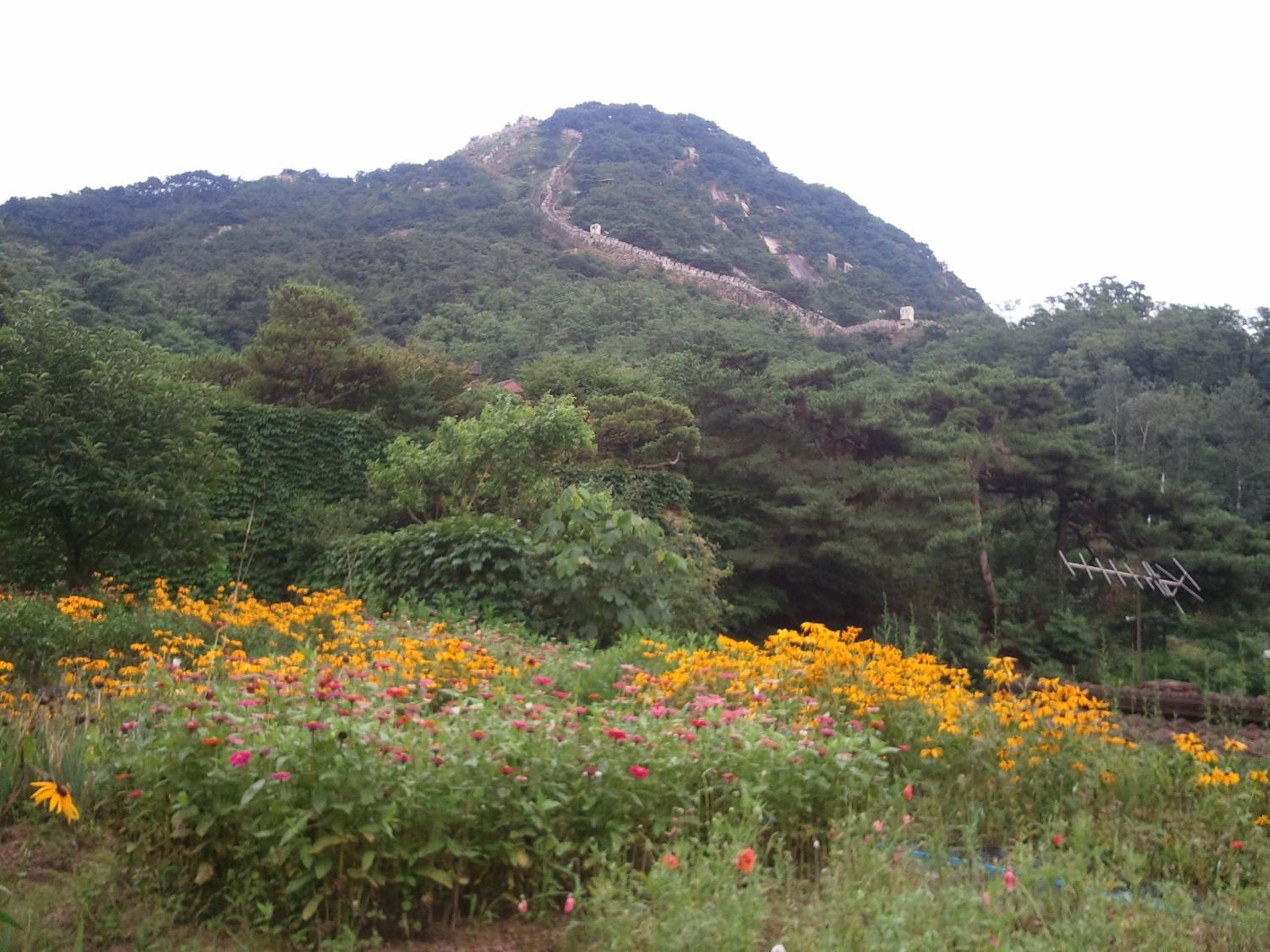 Guesthouse The Kims view 3