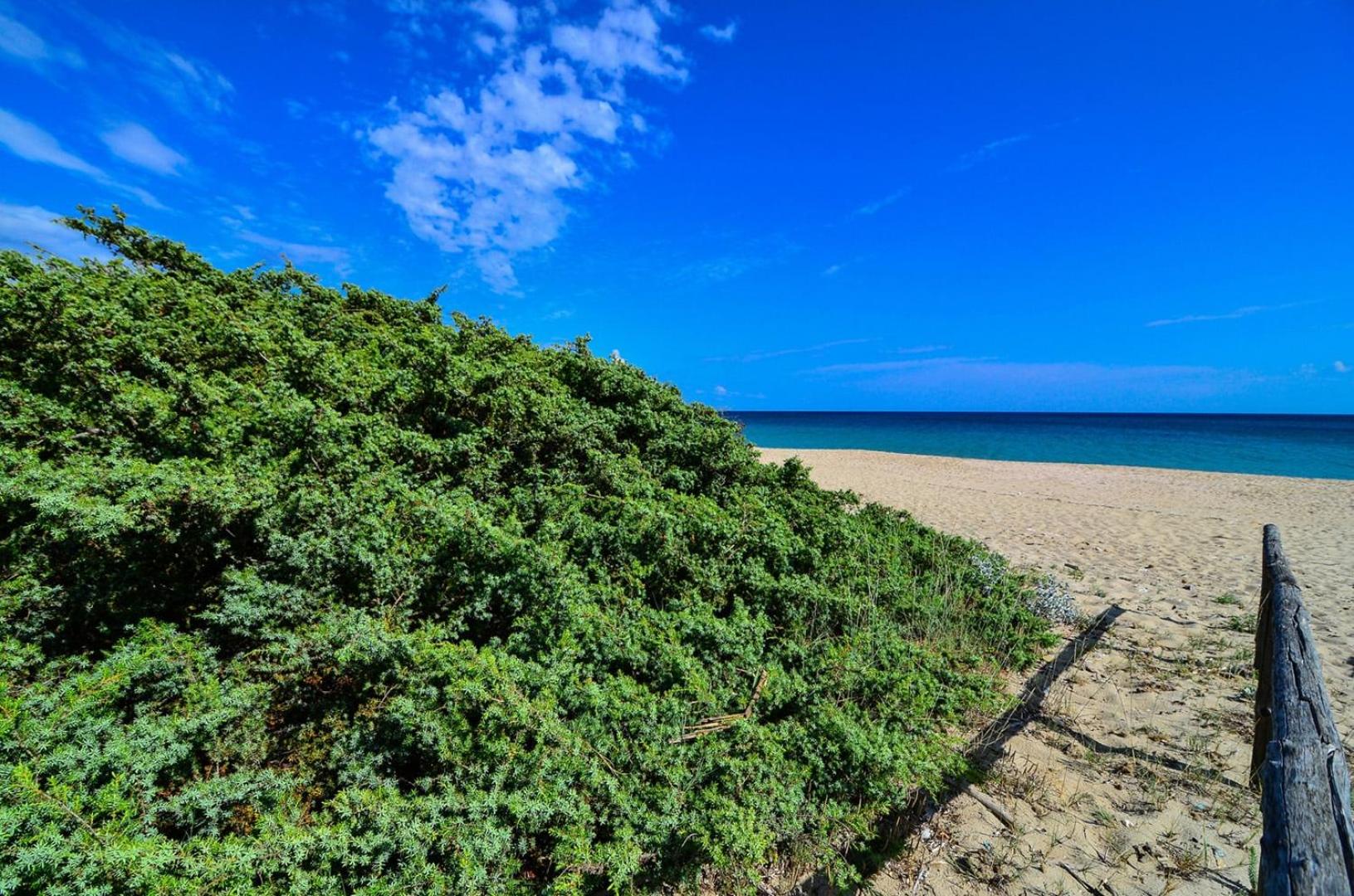 Photo 46
