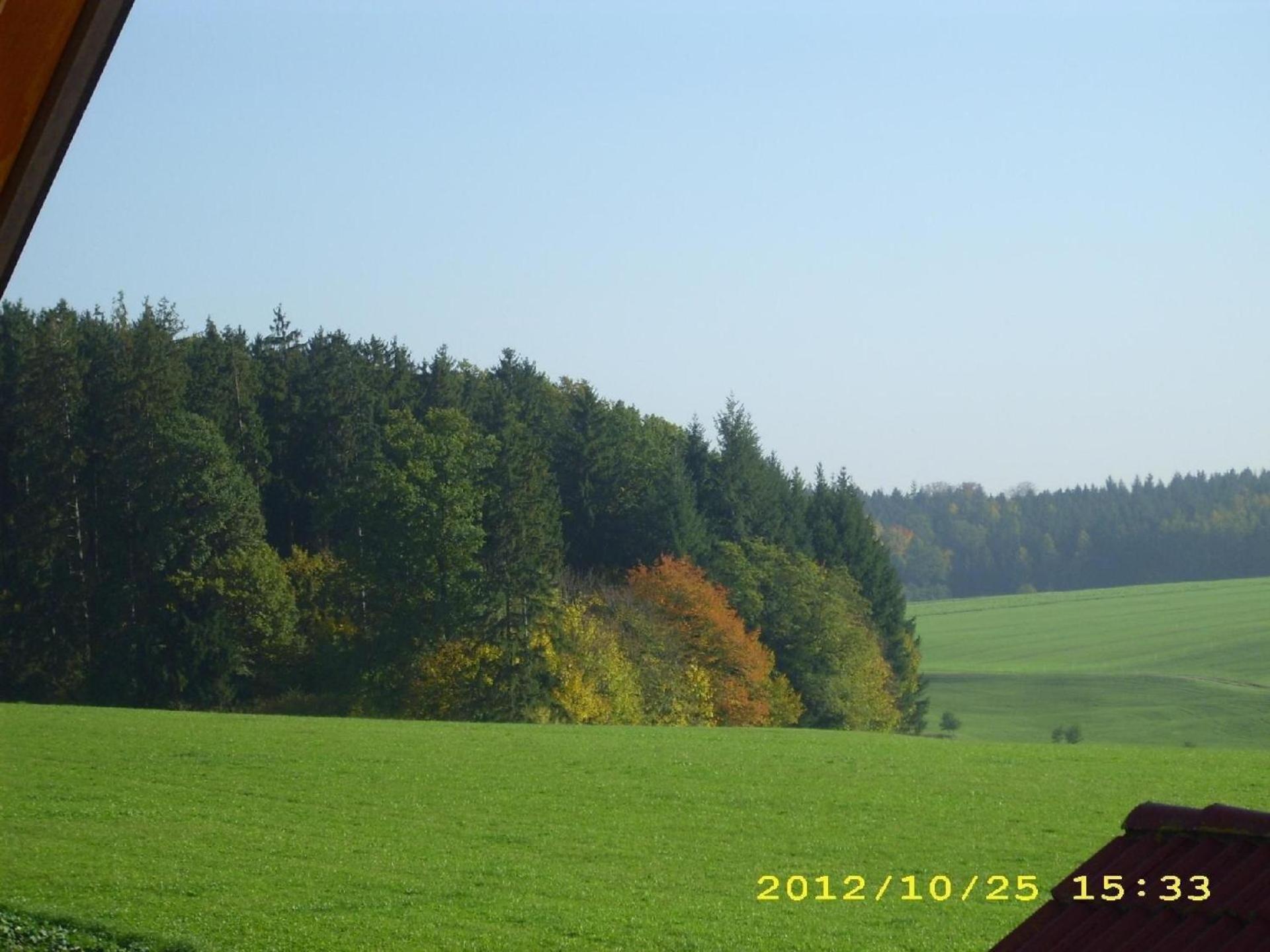 Wohnung in Oberwaldbach mit Garten und Grill - Property Image 3