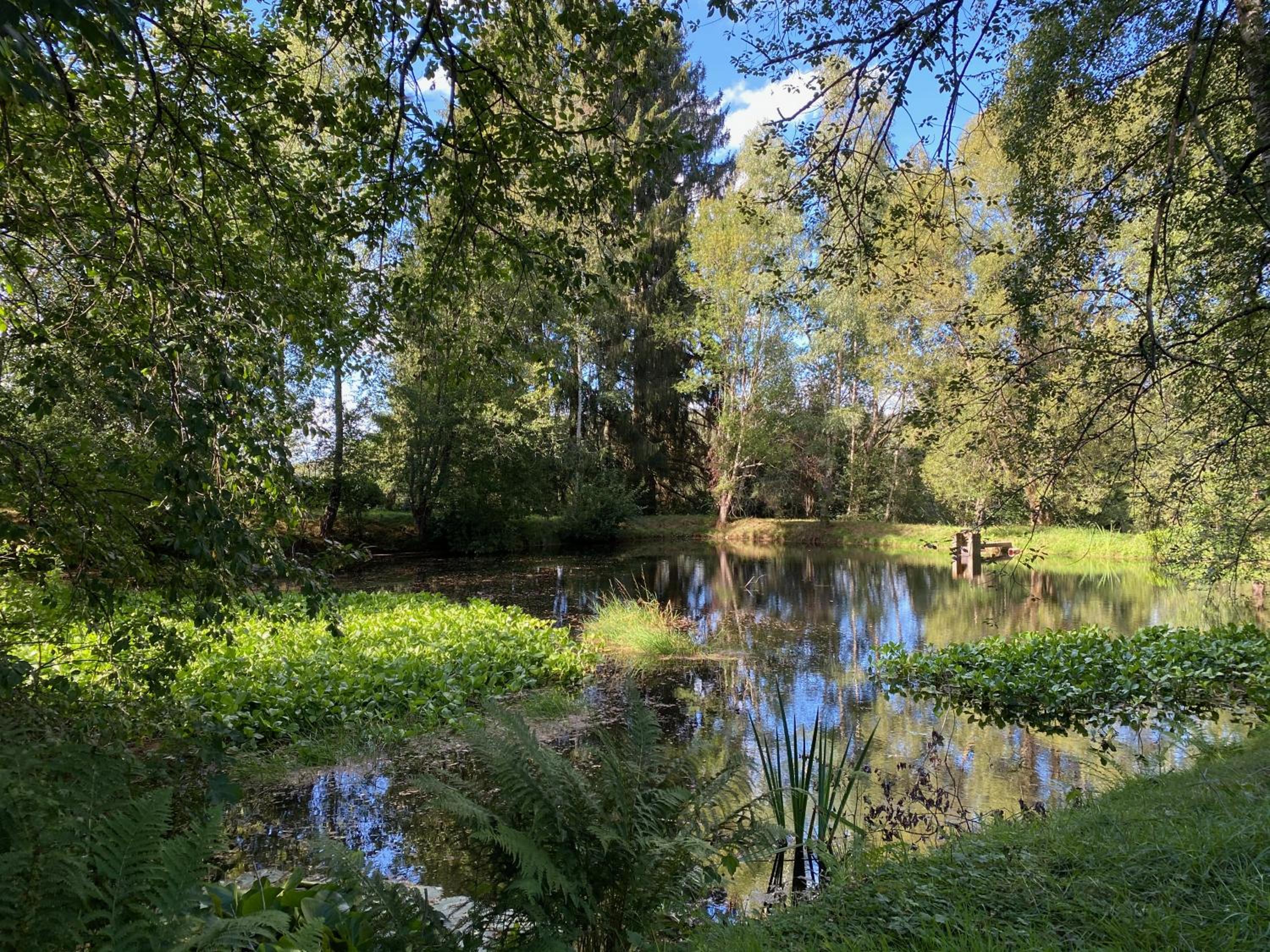 Les Iris - Gîte Tout Confort au Cœur de la Nature