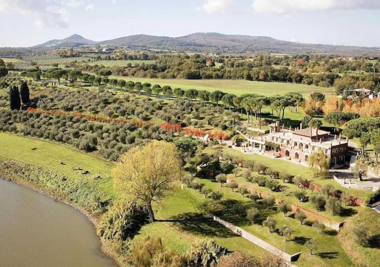 Panoramic Villa Elda at the gates of Rome - 35 mins view 4