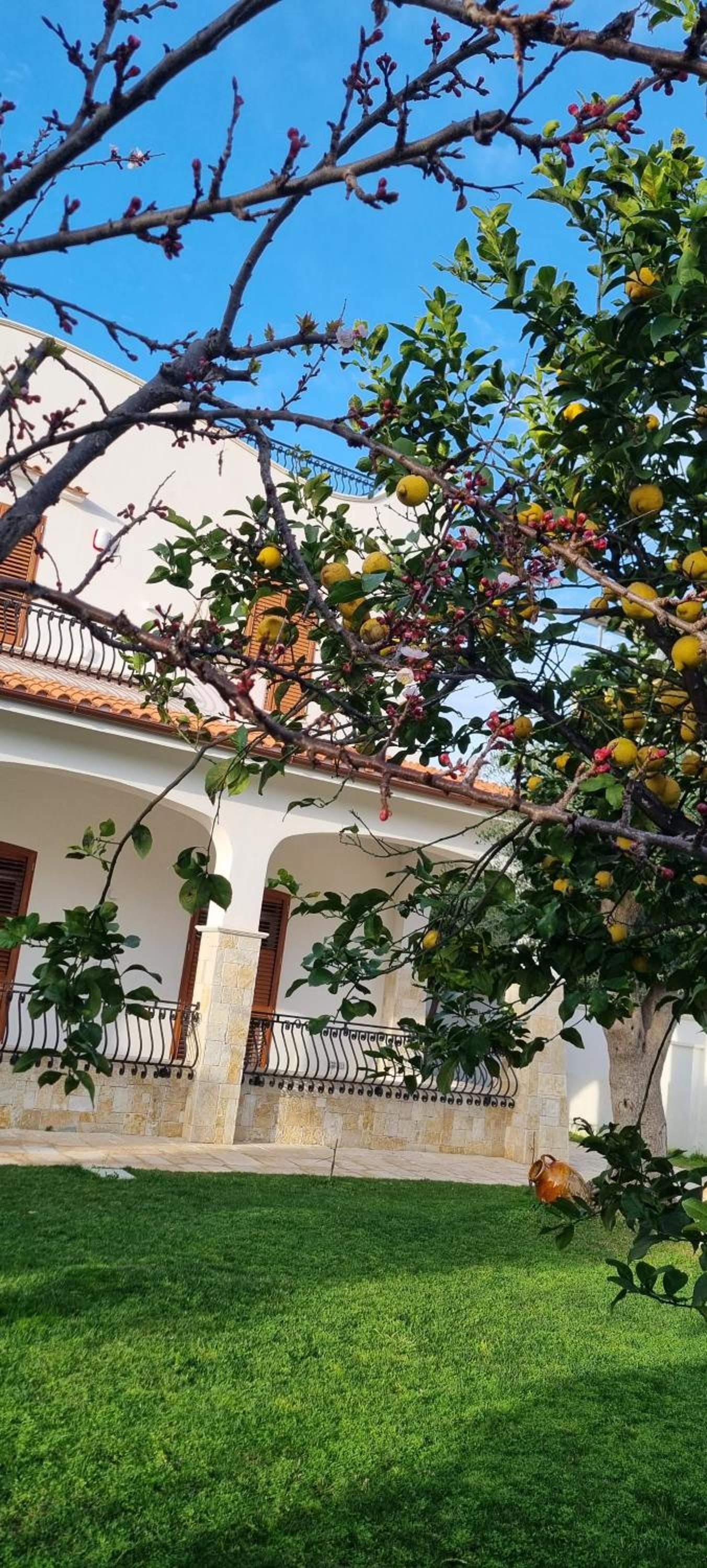 Villa Guajira, photo 41