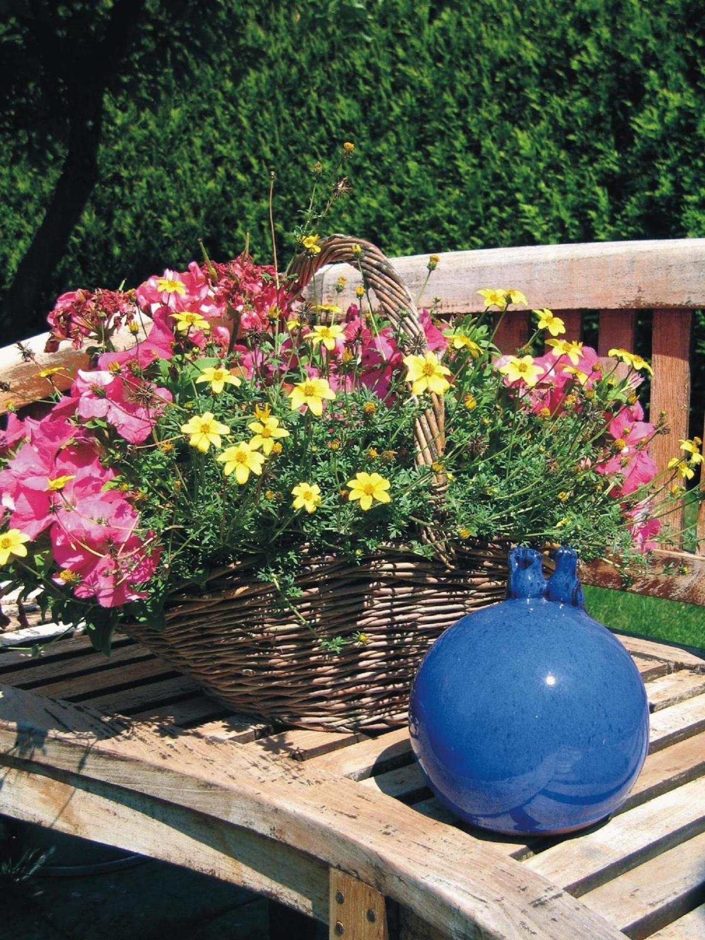 Komfortable Ferienwohnung in Wilhelmsfehn mit Grill, Garten und Terrasse