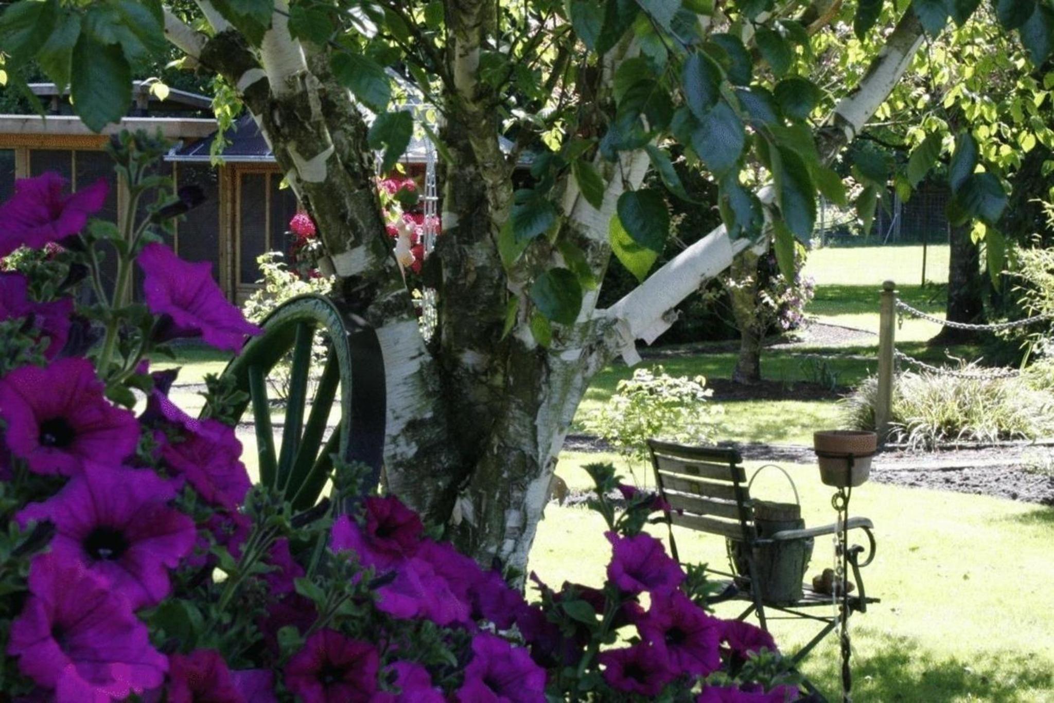 Komfortable Ferienwohnung in Wilhelmsfehn mit Grill, Garten und Terrasse
