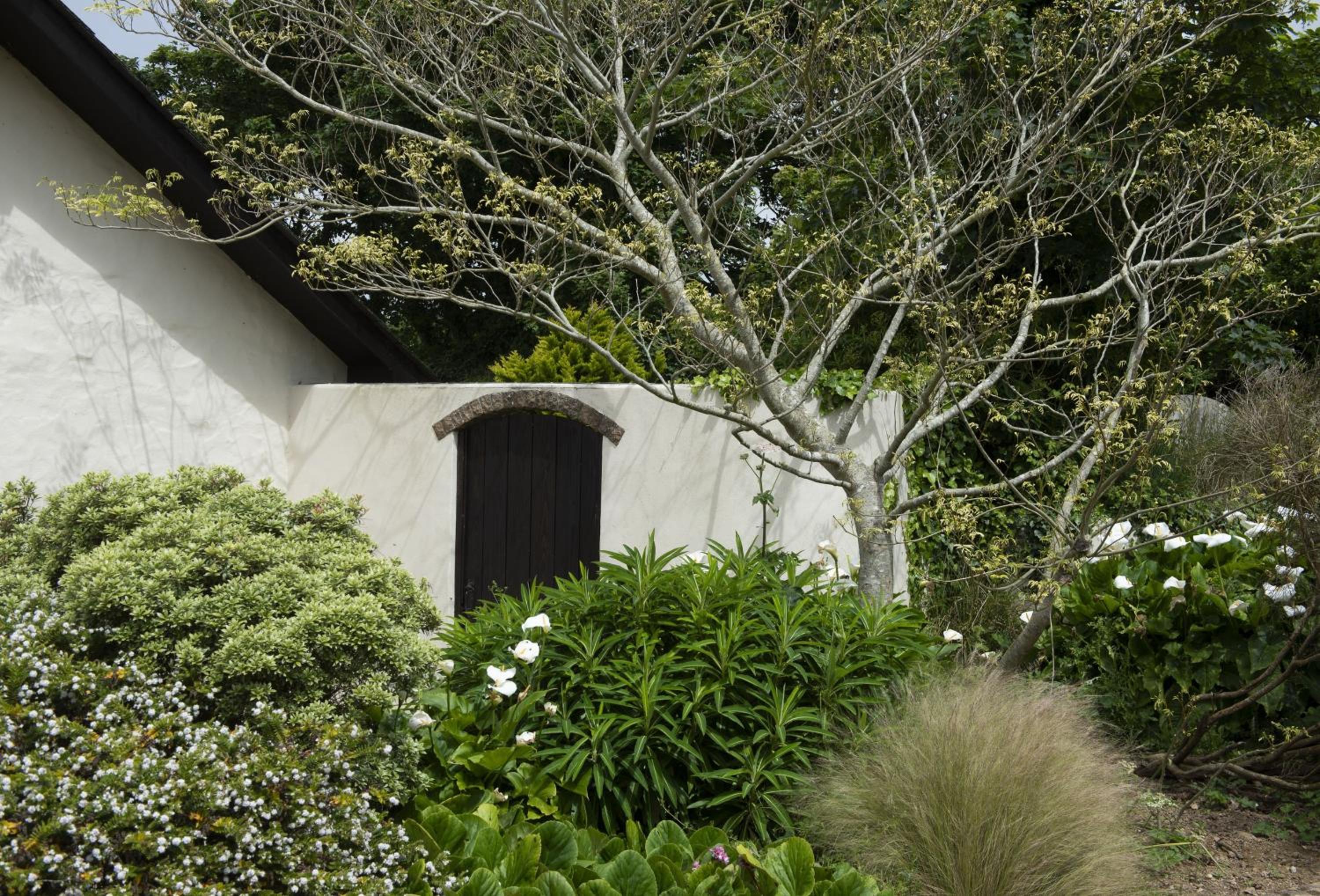 The Wood Shed