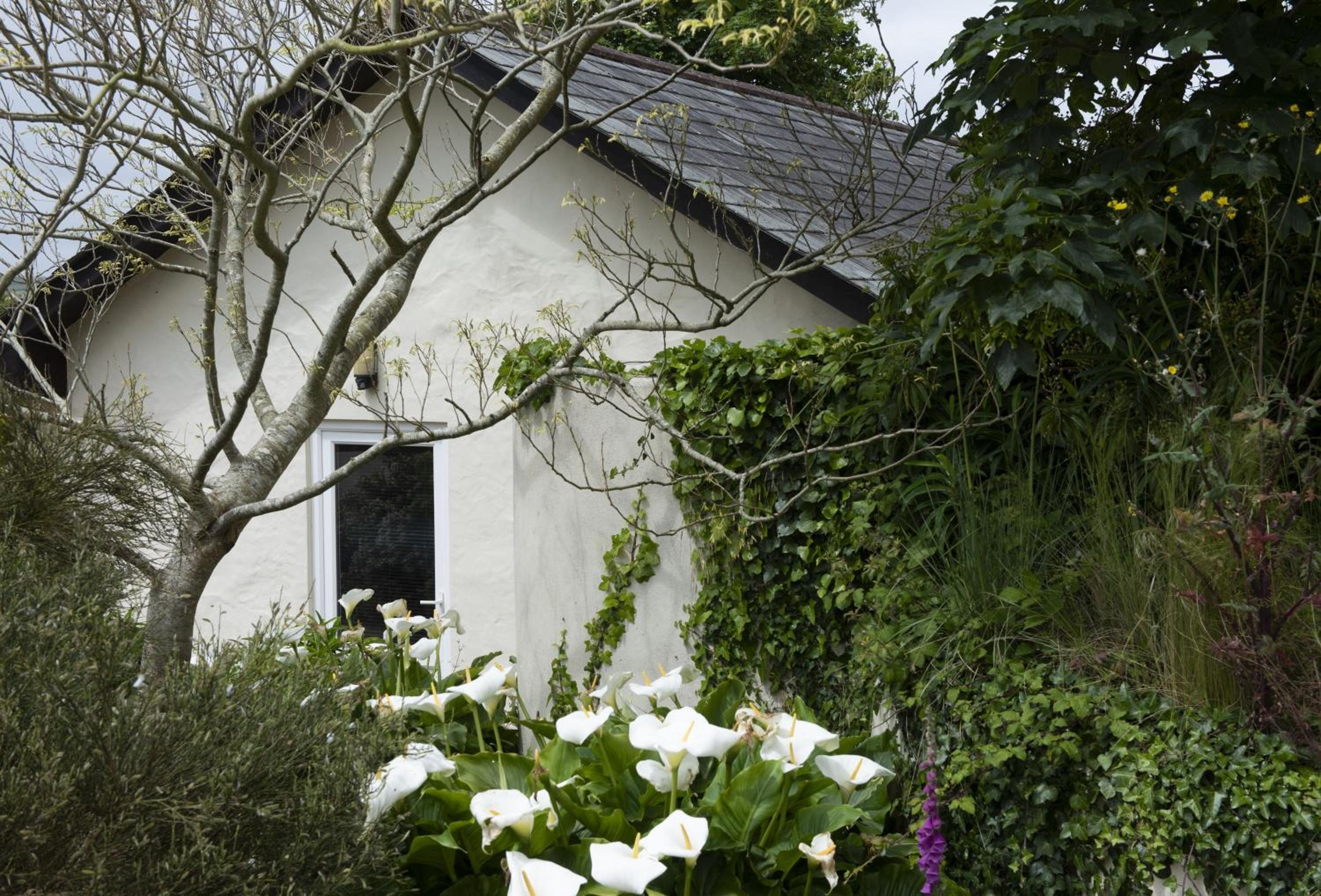 The Wood Shed