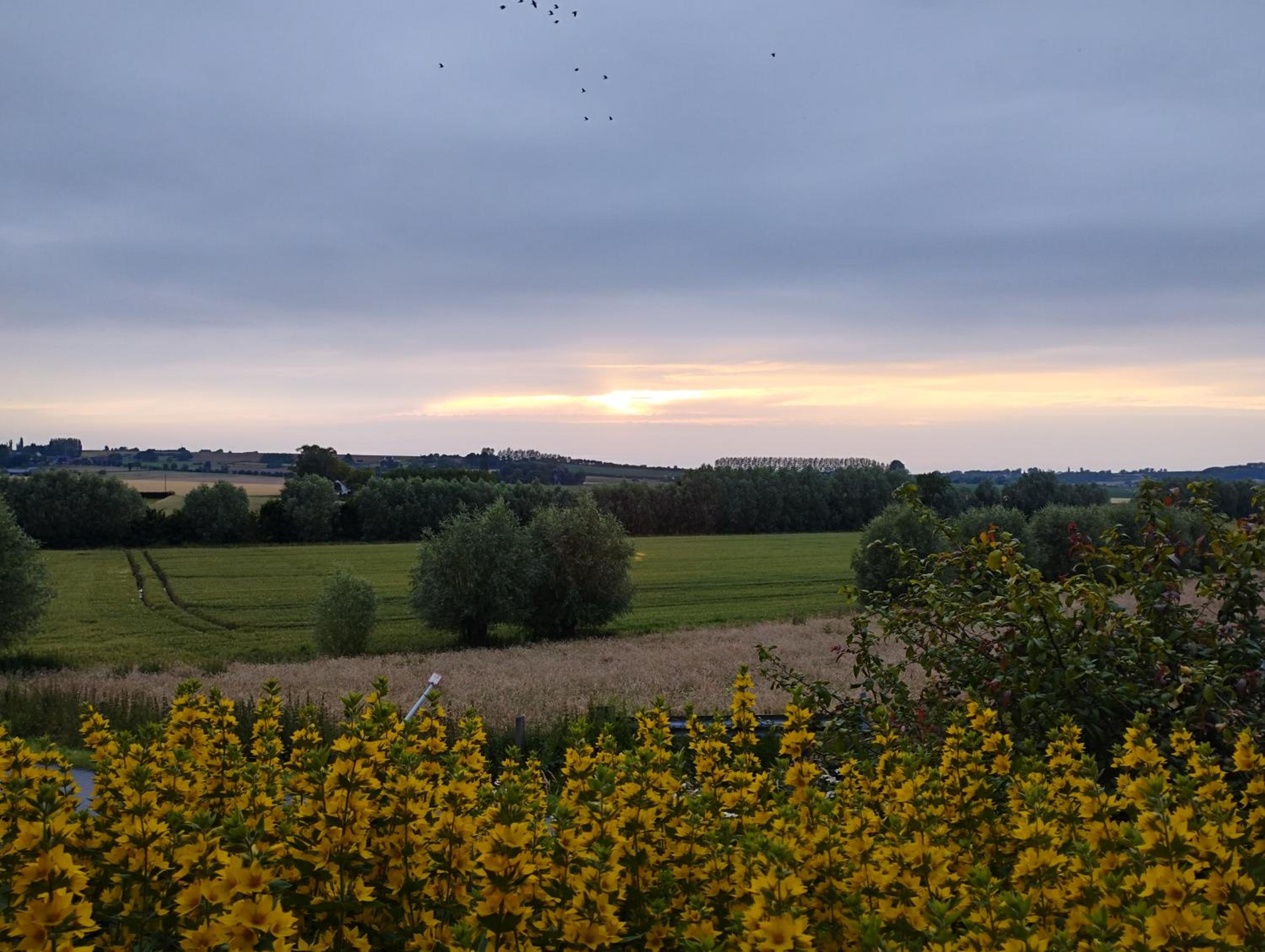 Vakantiehuis 't Leideveld