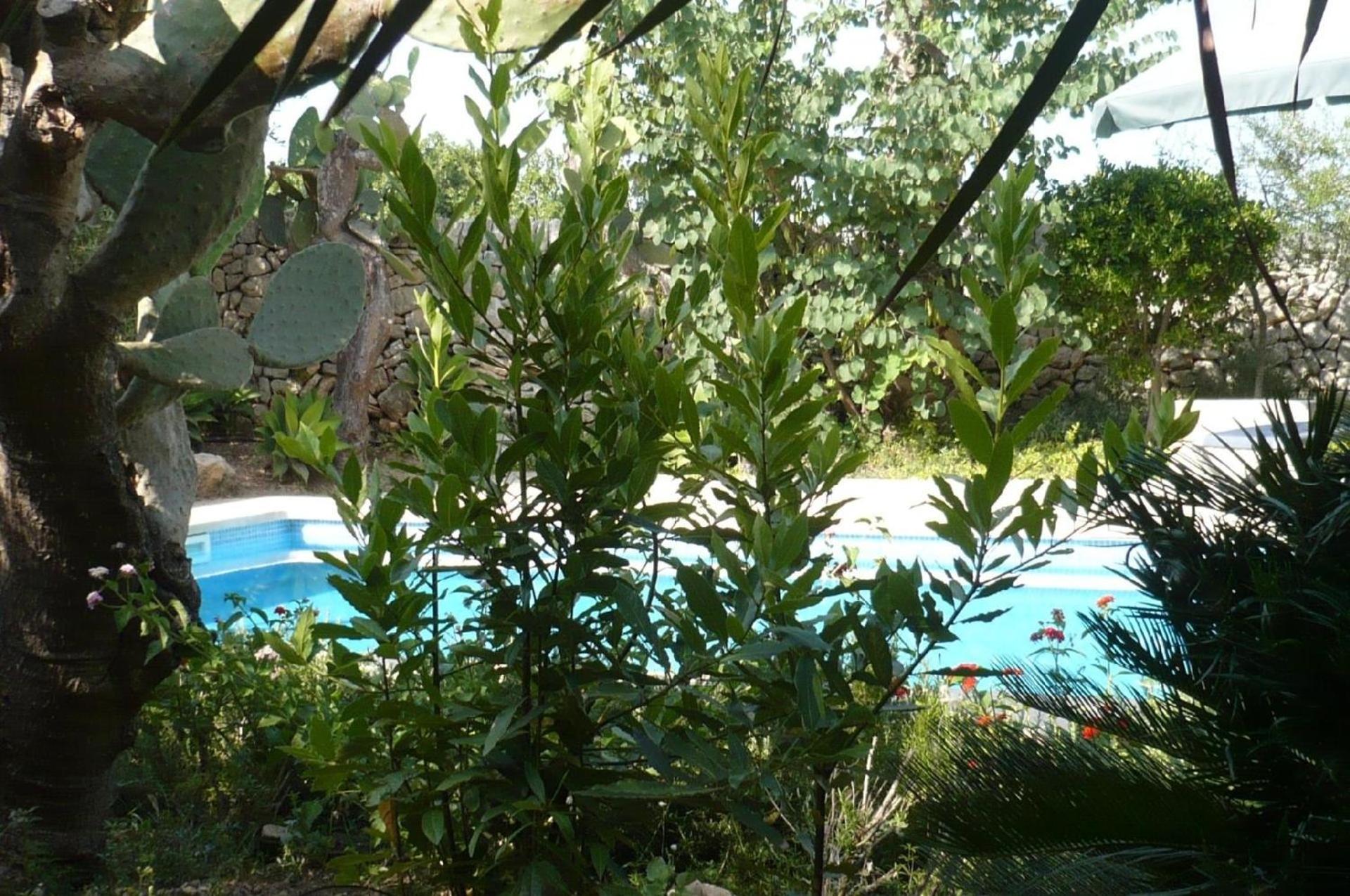 Ferienhaus in Sant Llorenç Des Cardassar mit Privatem Pool