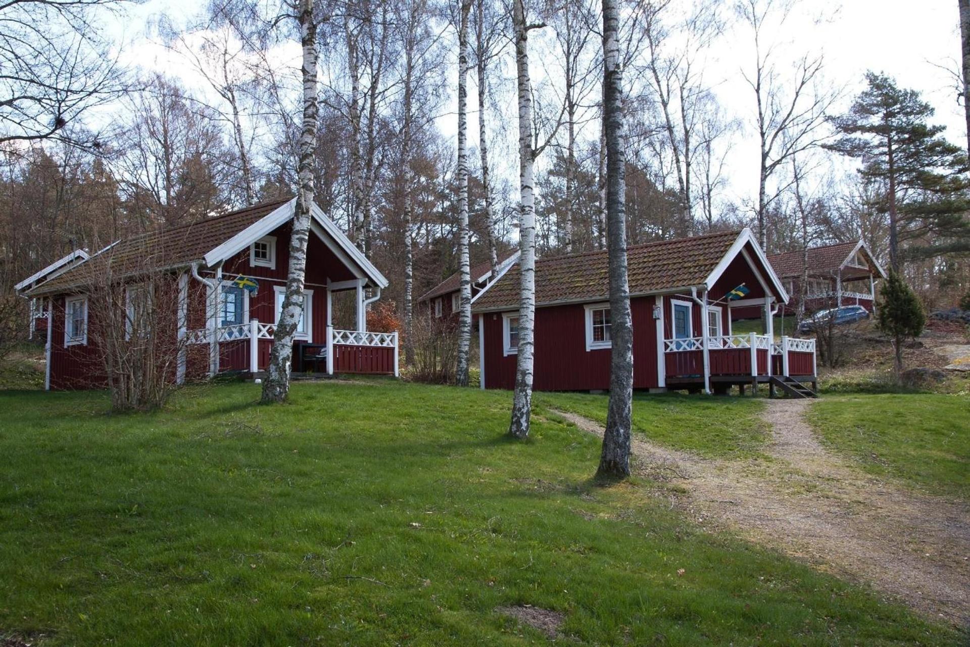 Holzhaus mit überdachter Terrasse - b57896 view 2