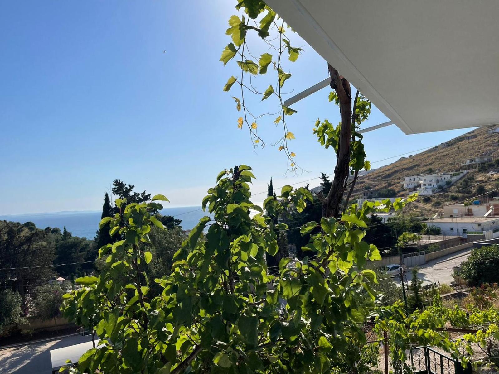 Orest apartament