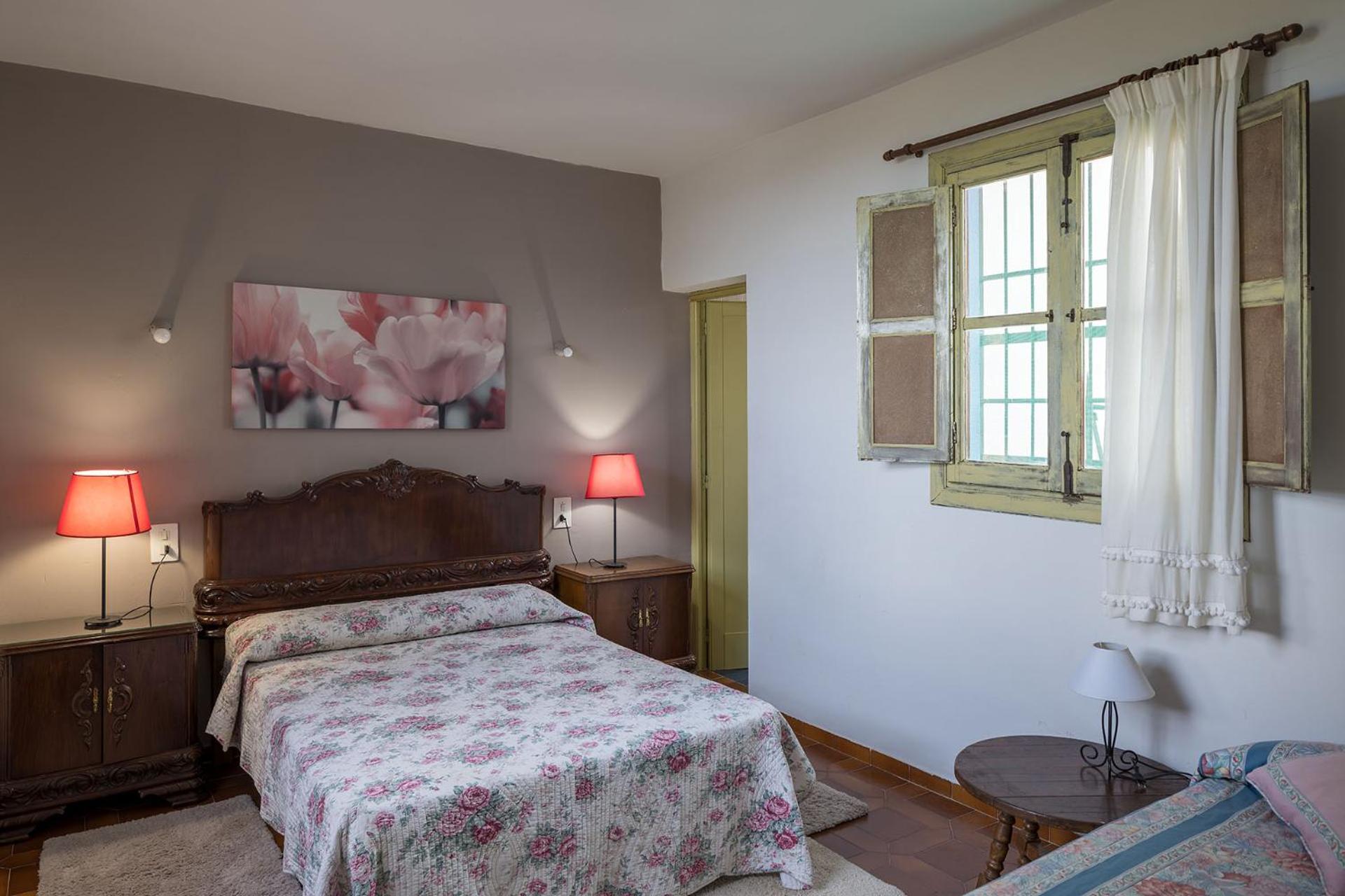House -Sleeps 8-Natural Pool-Pet Friendly