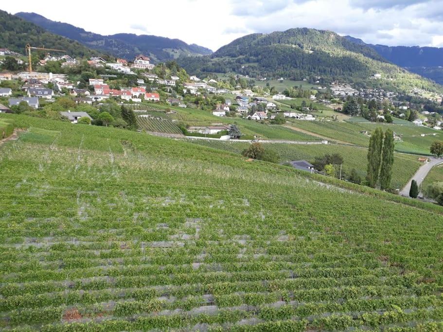 Appartement avec jardin privé à Montreux 100mt du lac