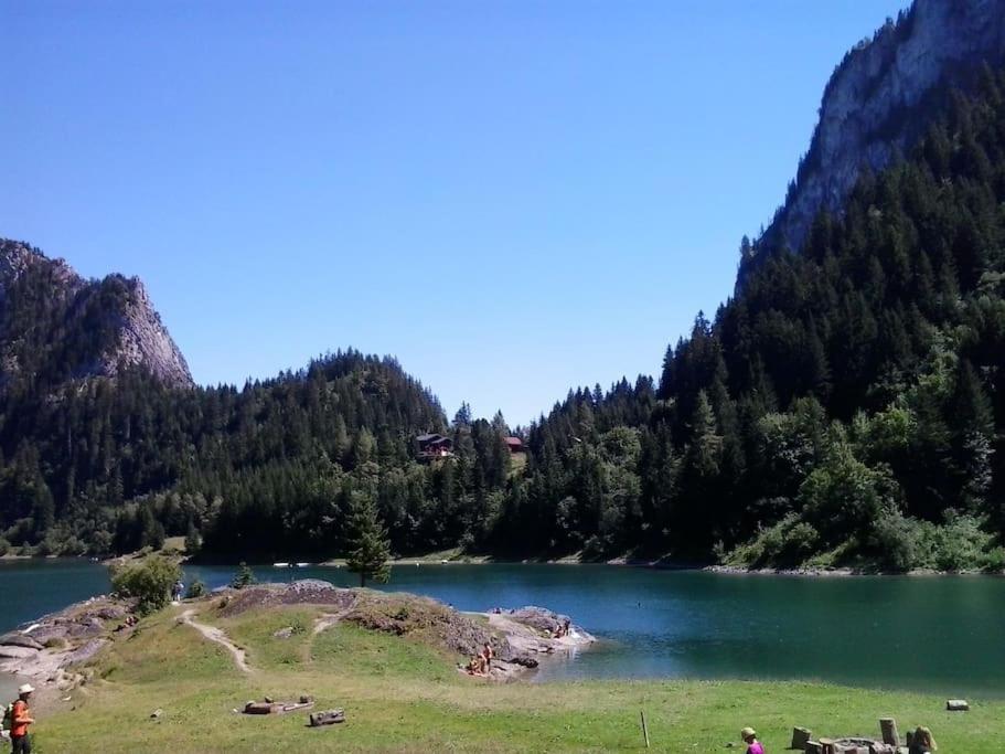 Appartement avec jardin privé à Montreux 100mt du lac