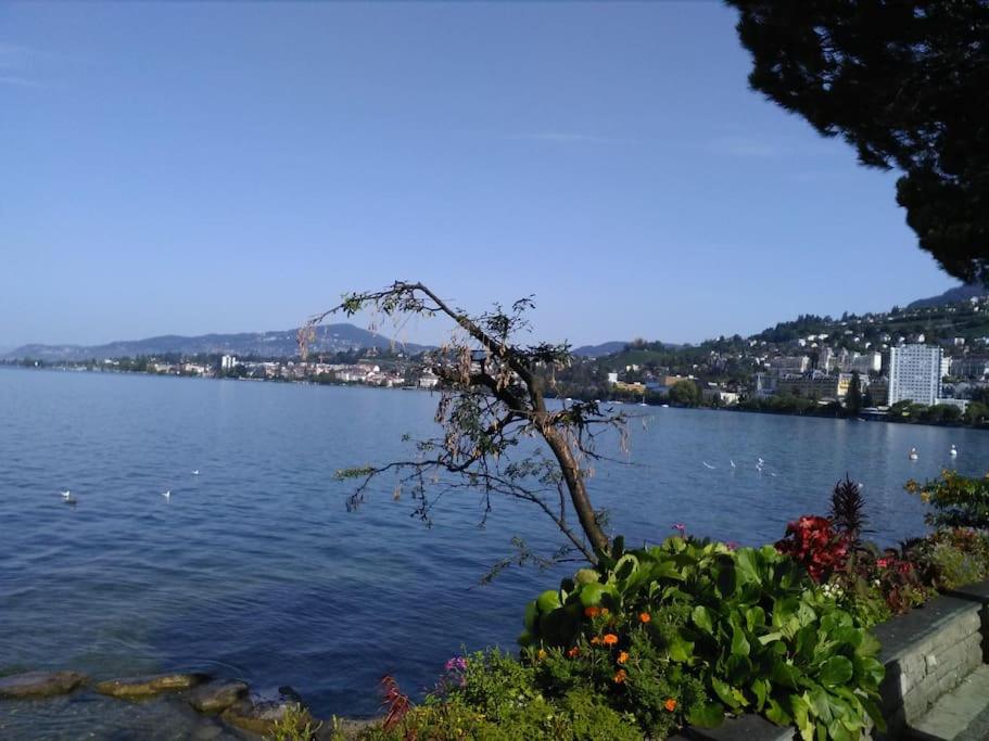 Appartement avec jardin privé à Montreux 100mt du lac