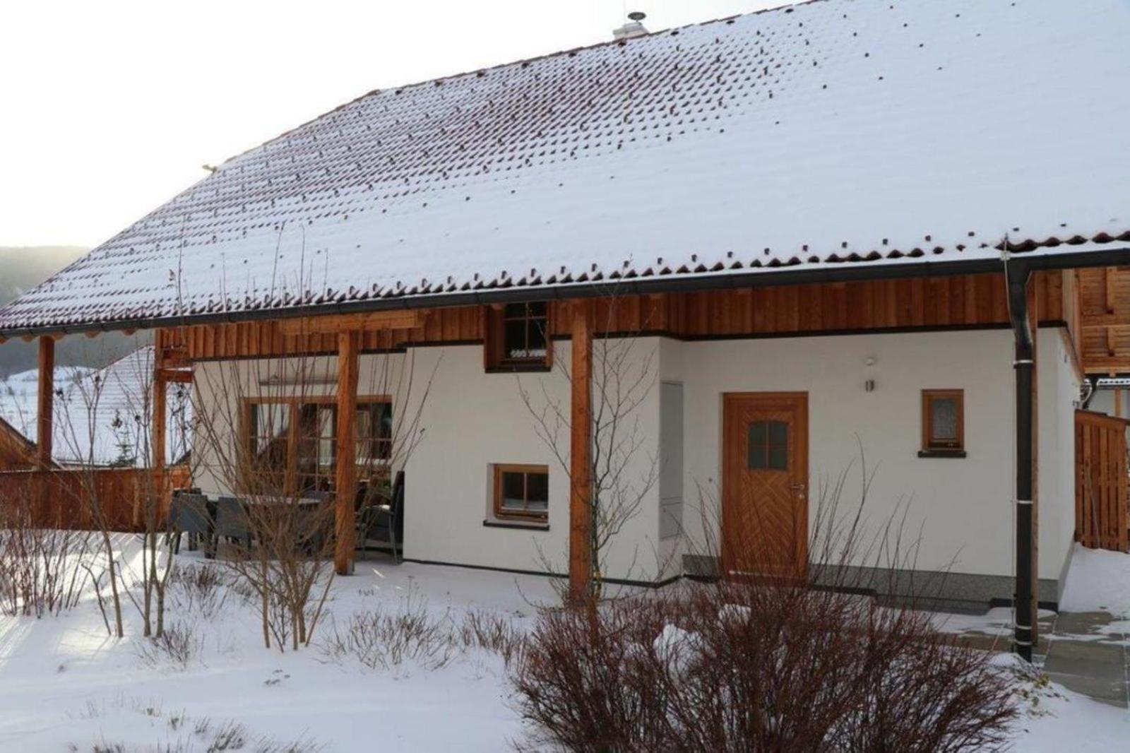 Panorama Chalet Amadé