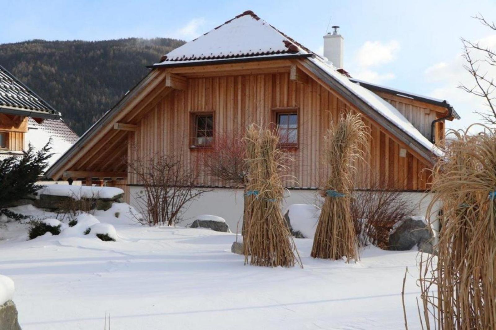 Panorama Chalet Amadé