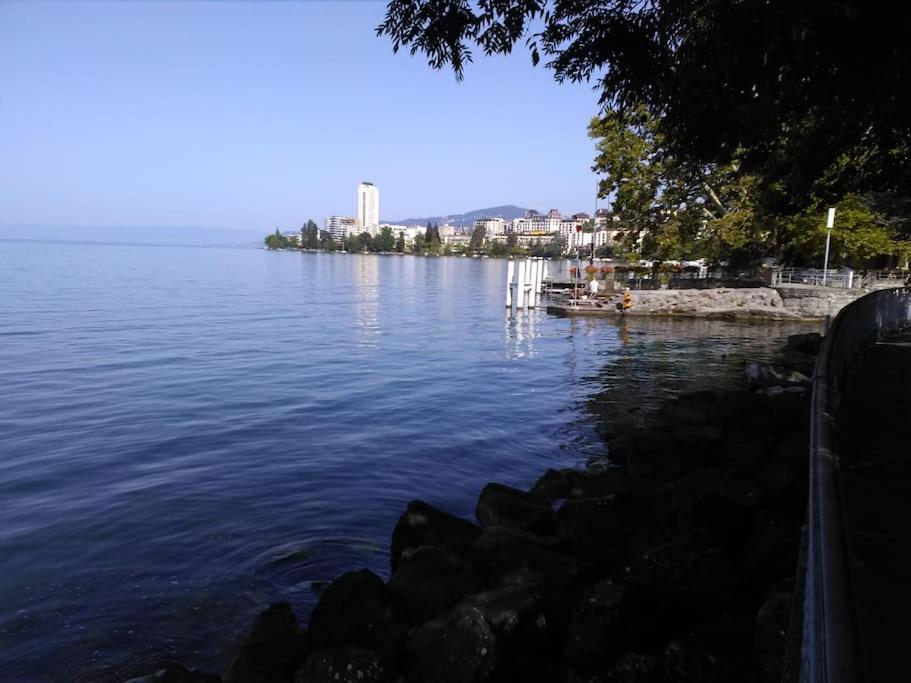 Appartement avec jardin privé à Montreux 100mt du lac