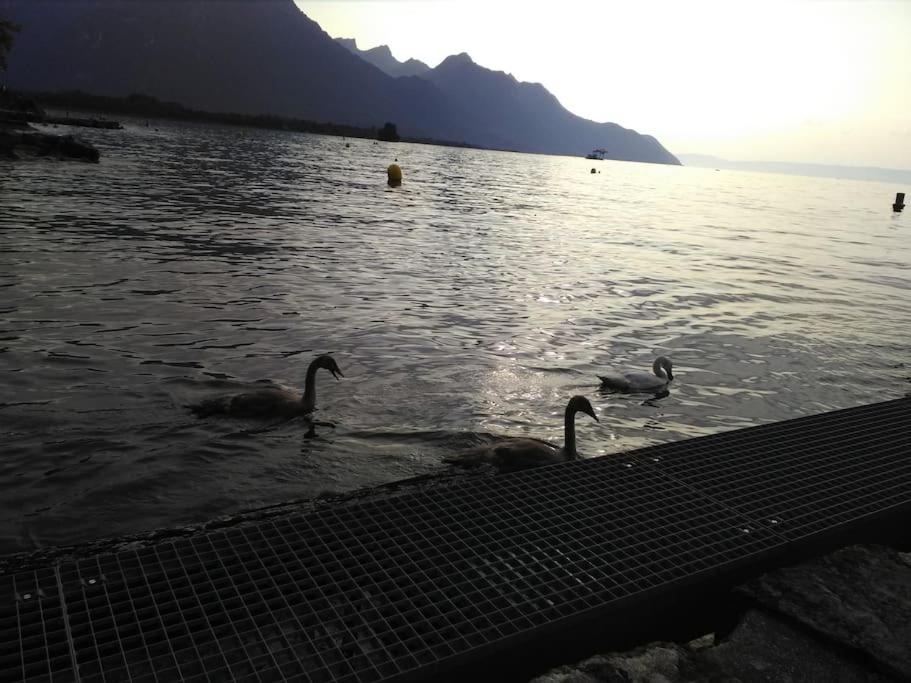 Appartement avec jardin privé à Montreux 100mt du lac