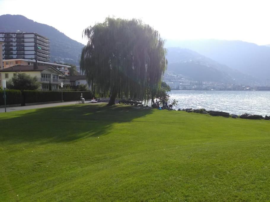 Appartement avec jardin privé à Montreux 100mt du lac