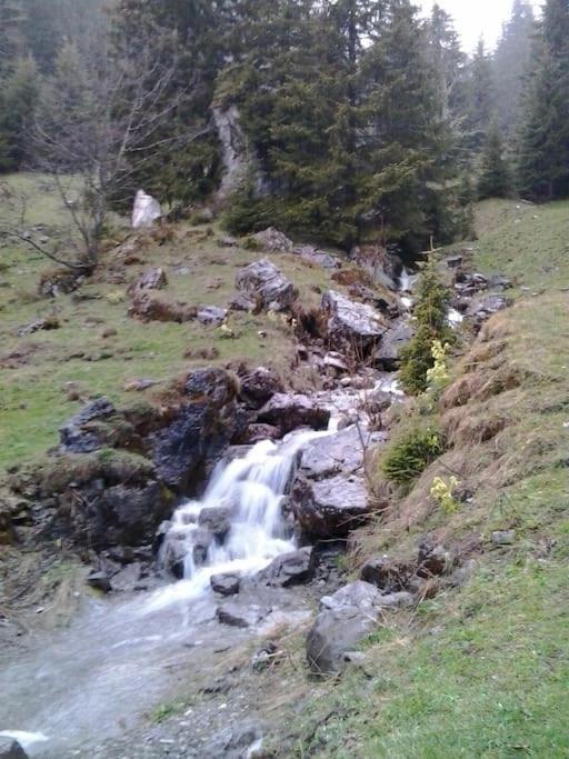 Appartement avec jardin privé à Montreux 100mt du lac
