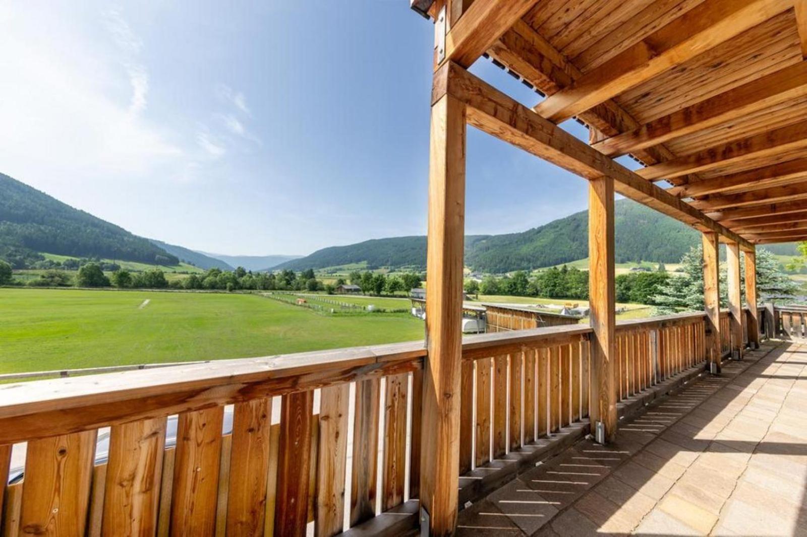 Panorama Chalet Taurachtal