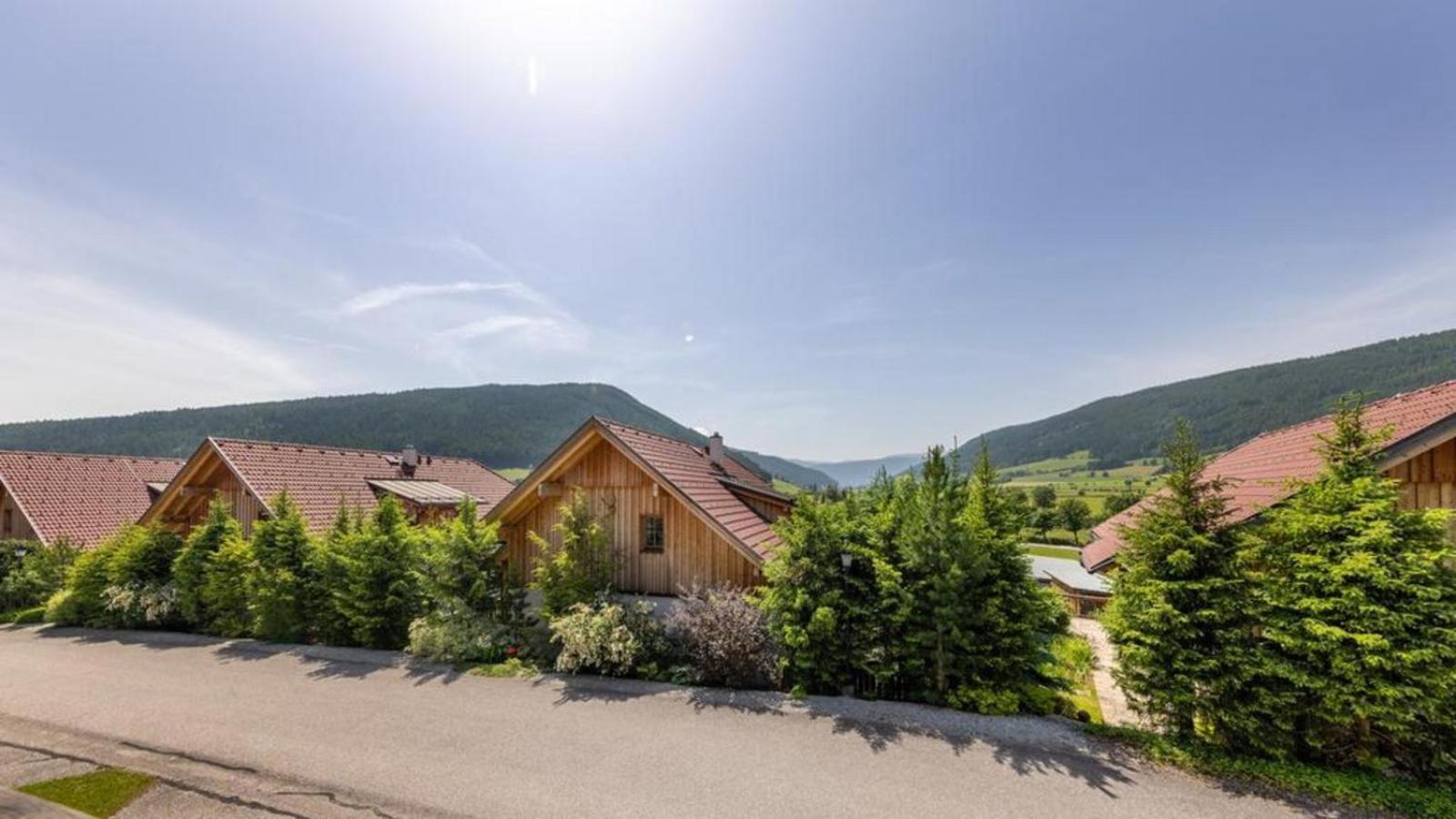 Panorama Chalet Taurachtal