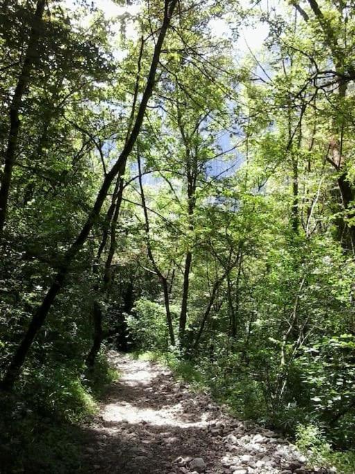Appartement avec jardin privé à Montreux 100mt du lac