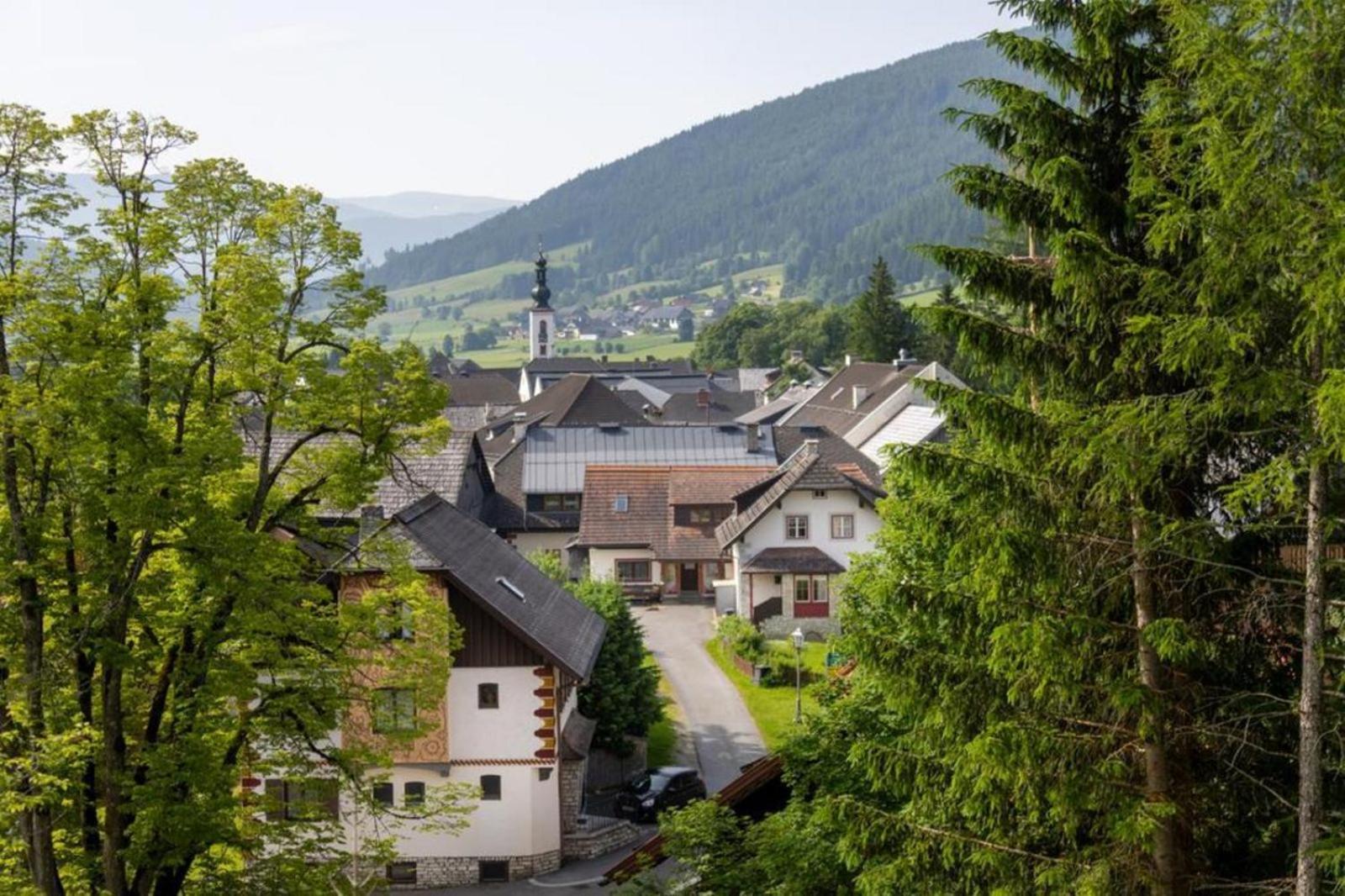 Panorama Chalet Grau