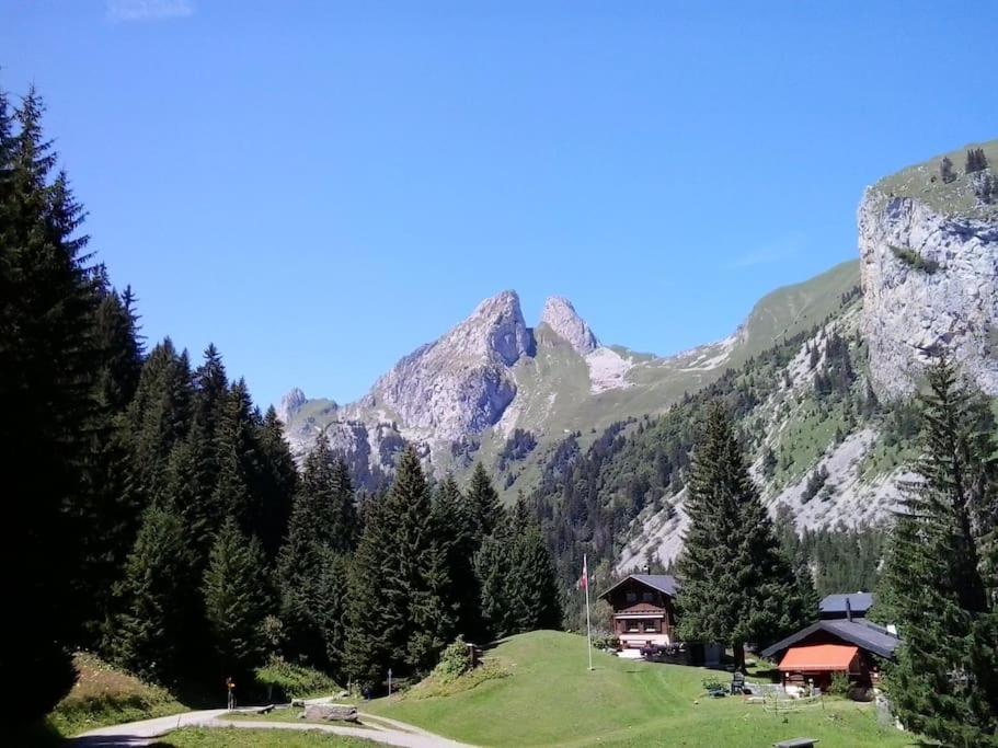 Appartement avec jardin privé à Montreux 100mt du lac