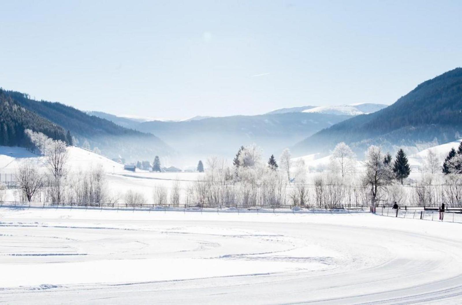Panorama Chalet Grau XL