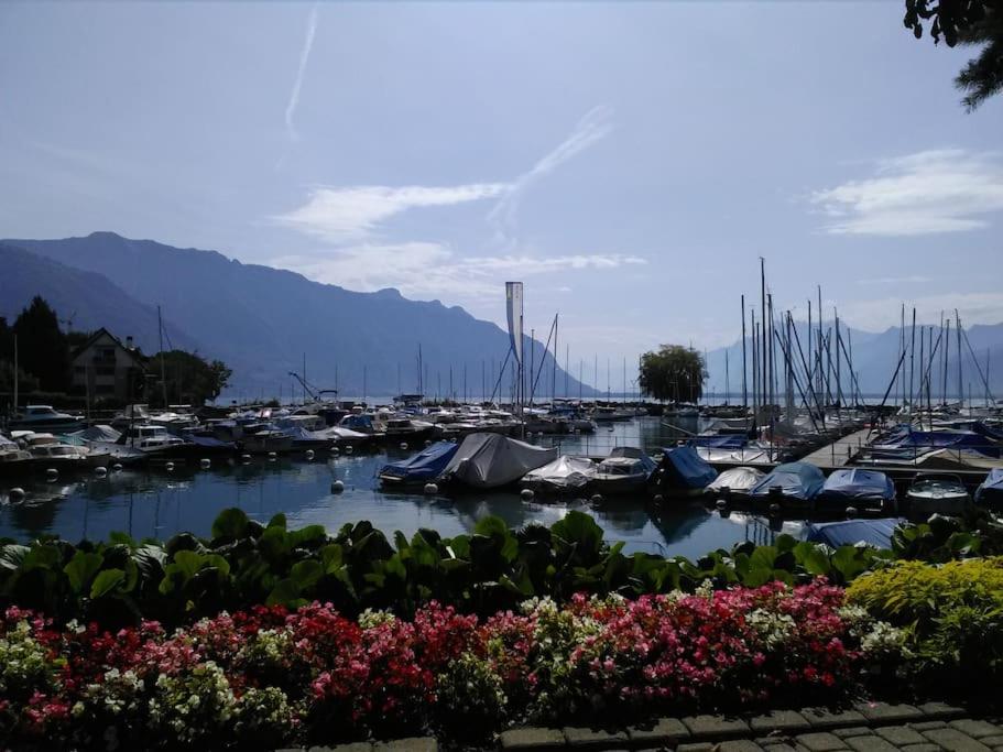 Appartement avec jardin privé à Montreux 100mt du lac
