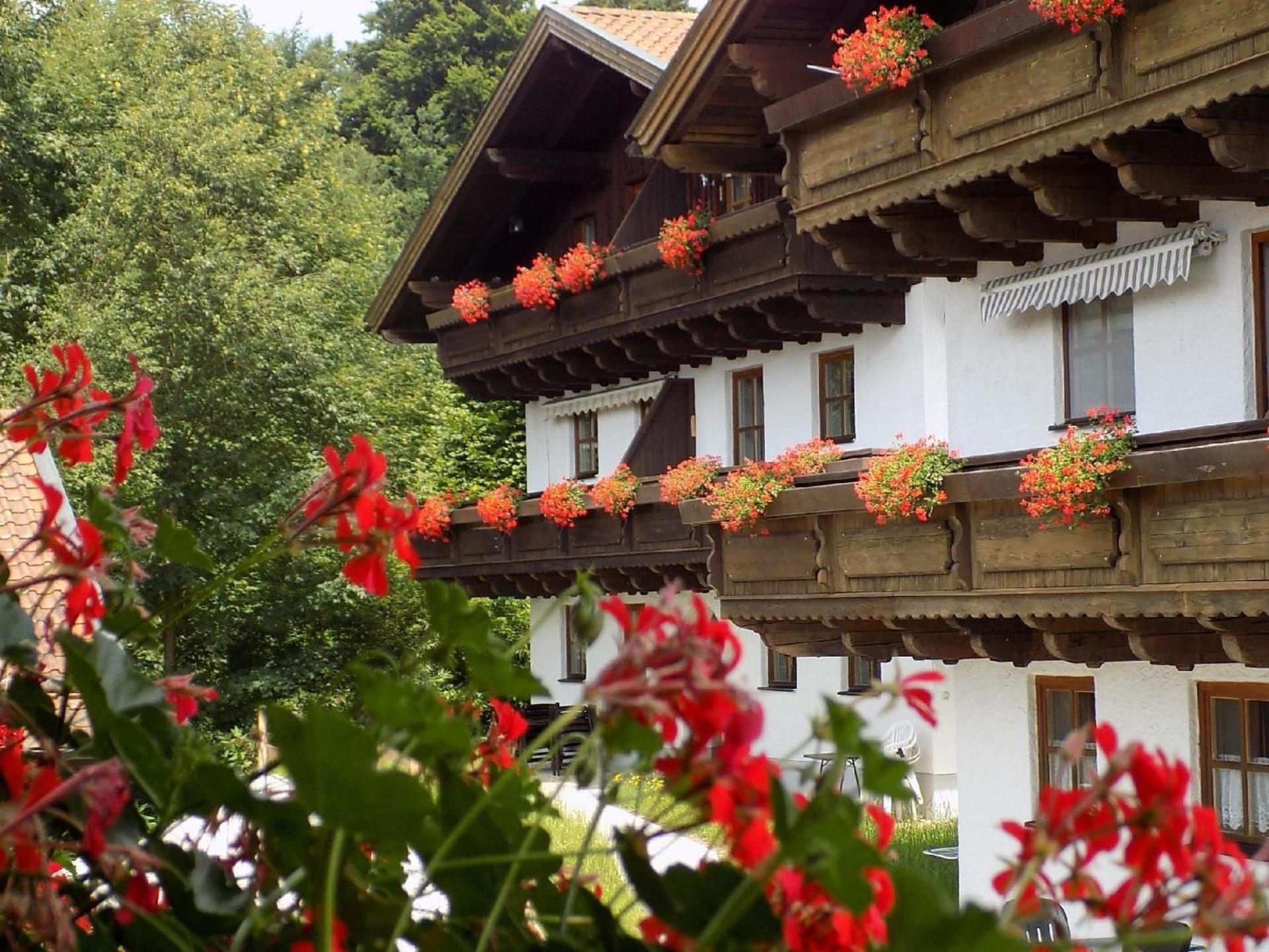 Wohnung Mit Möblierter Terrasse Und Waldblick