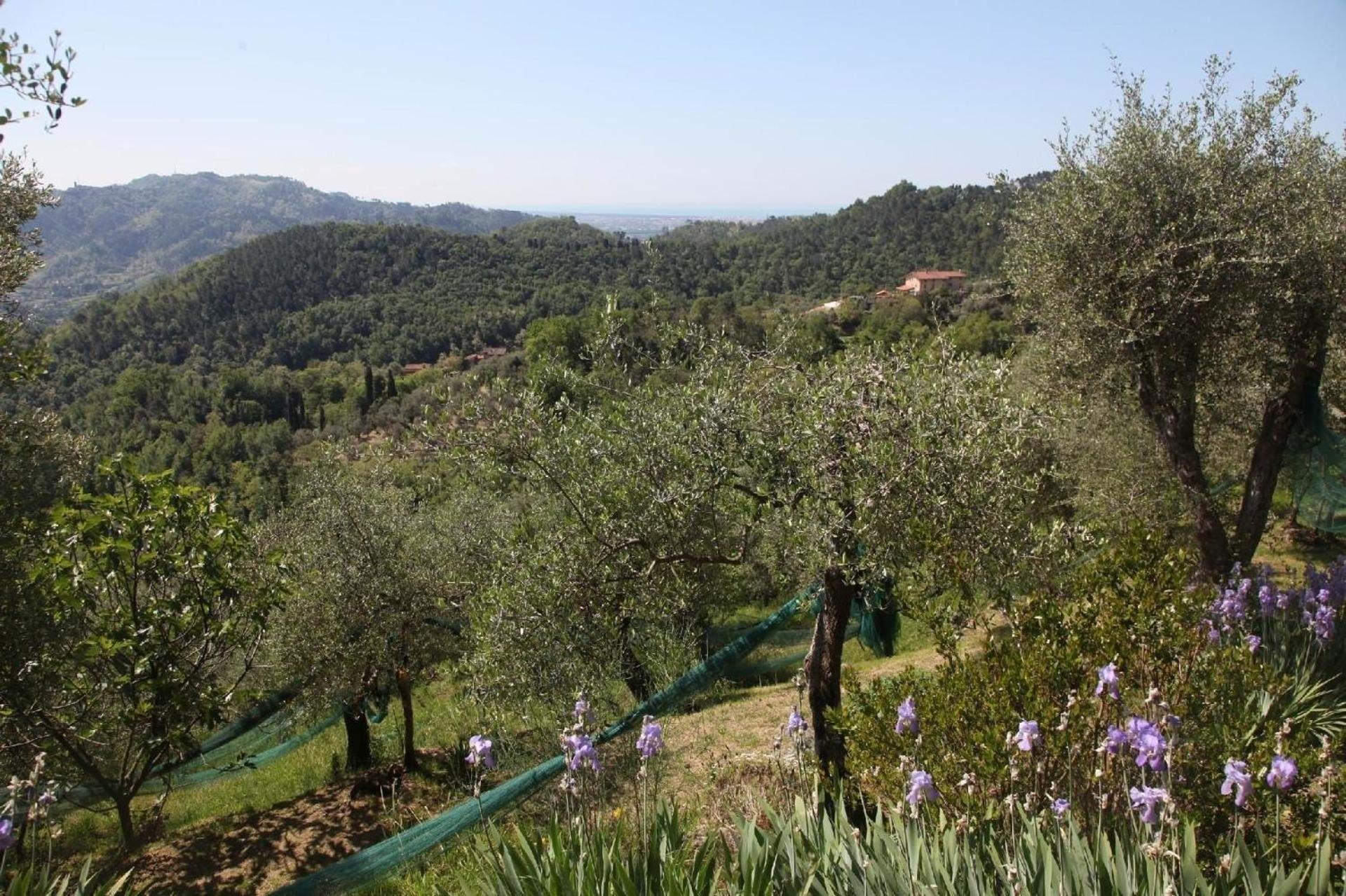 Schönes Ferienhaus in Camaiore mit Großem Garten