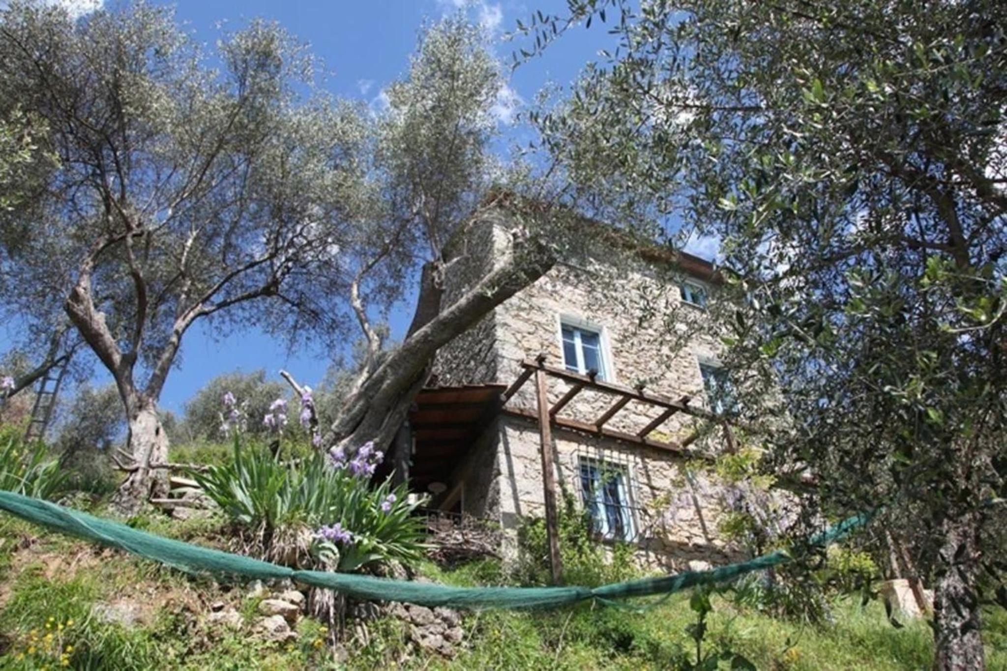 Schönes Ferienhaus in Camaiore mit Großem Garten