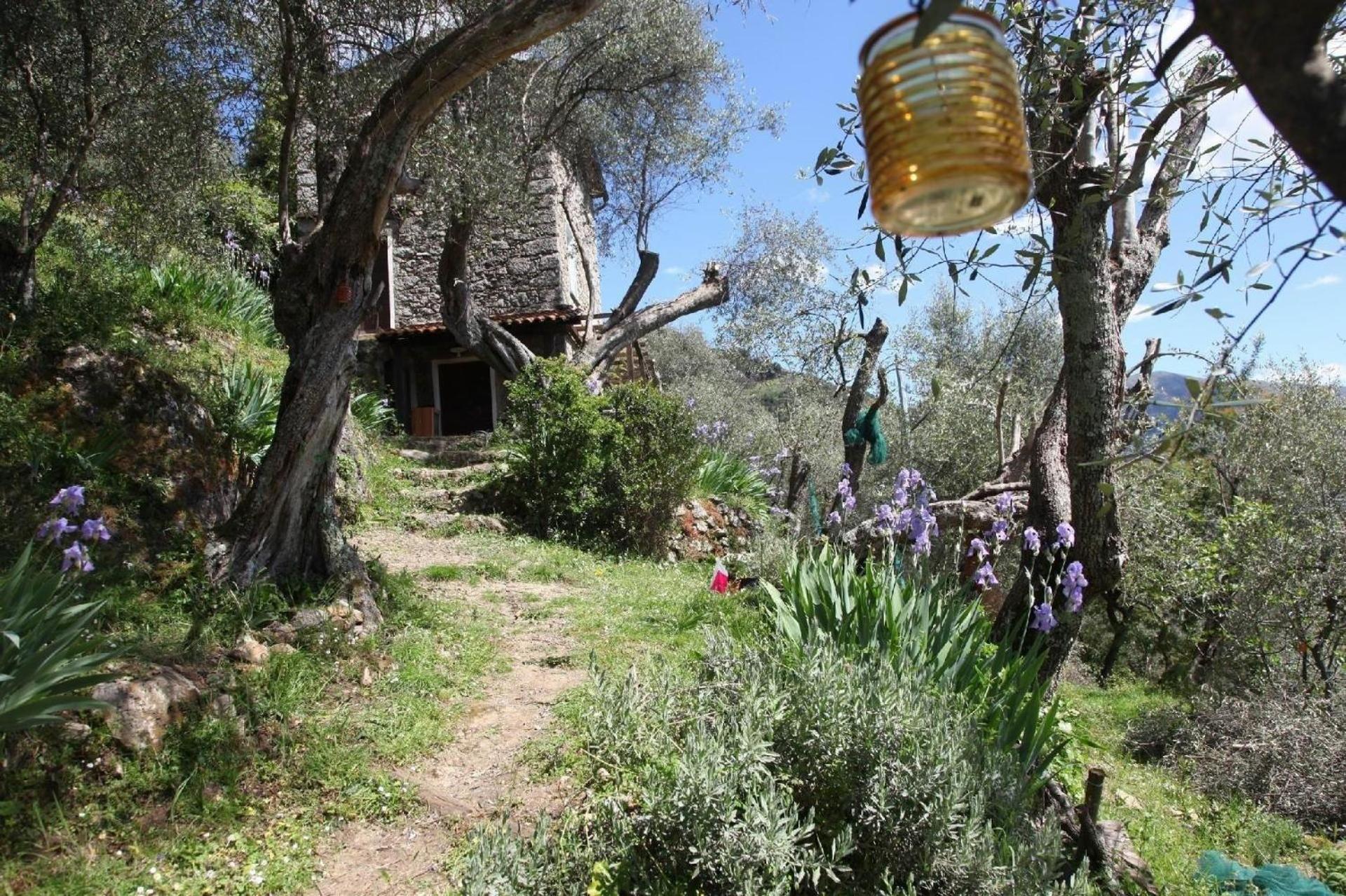 Schönes Ferienhaus in Camaiore mit Großem Garten