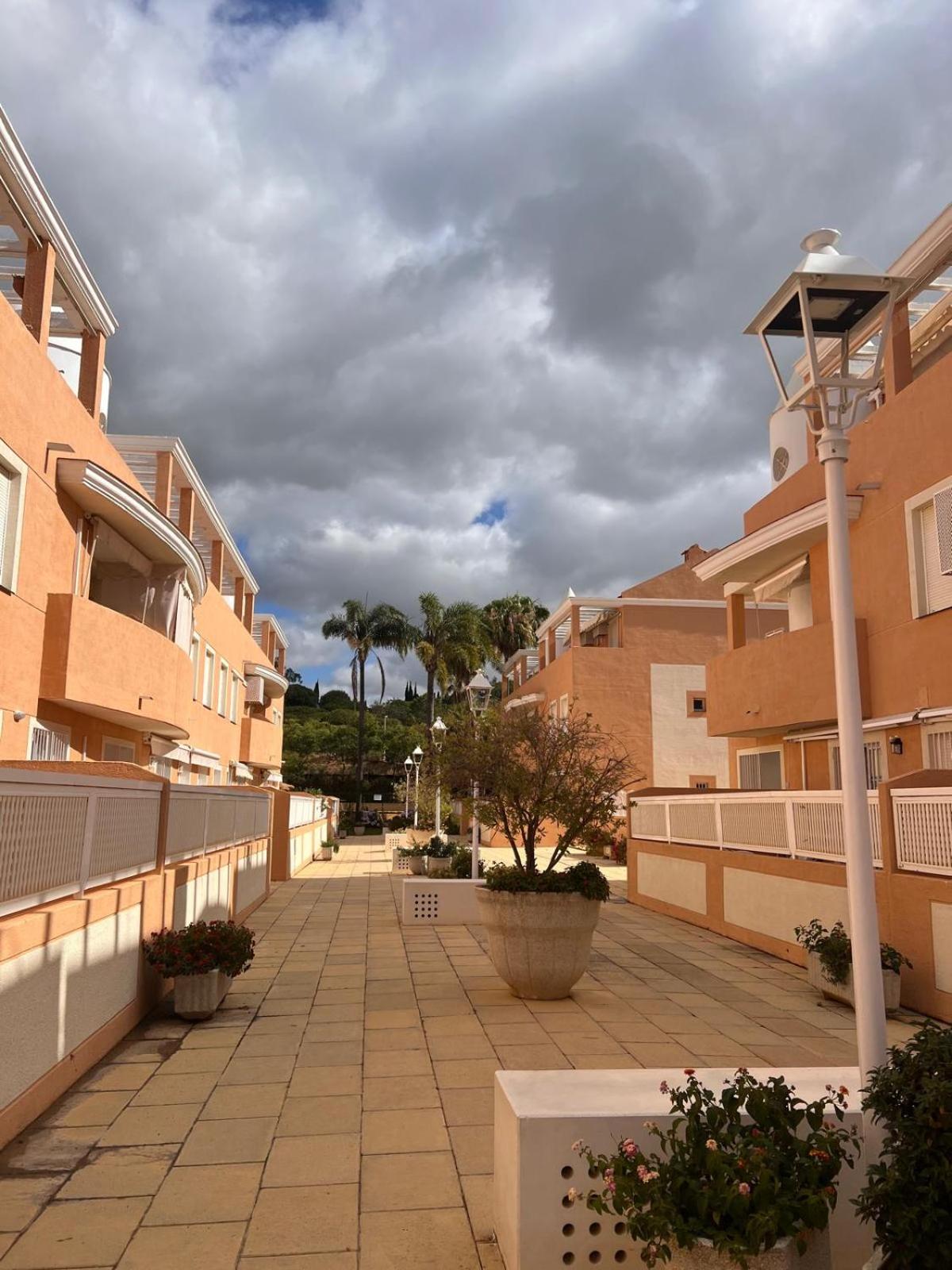 Panther Home Ipanema