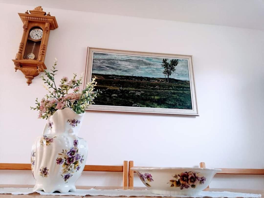 Idylický rodinný penzión Arkádia pri Dunajskej cyklotrase