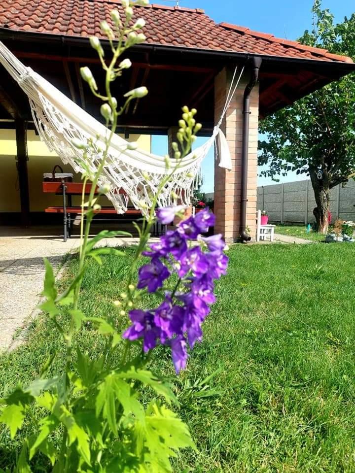 Idylický rodinný penzión Arkádia pri Dunajskej cyklotrase