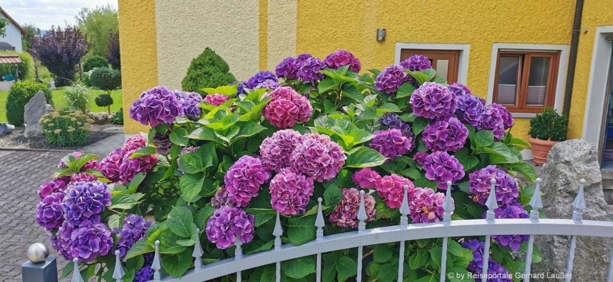 Komfortable Ferienwohnung Mit Garten Und Grill