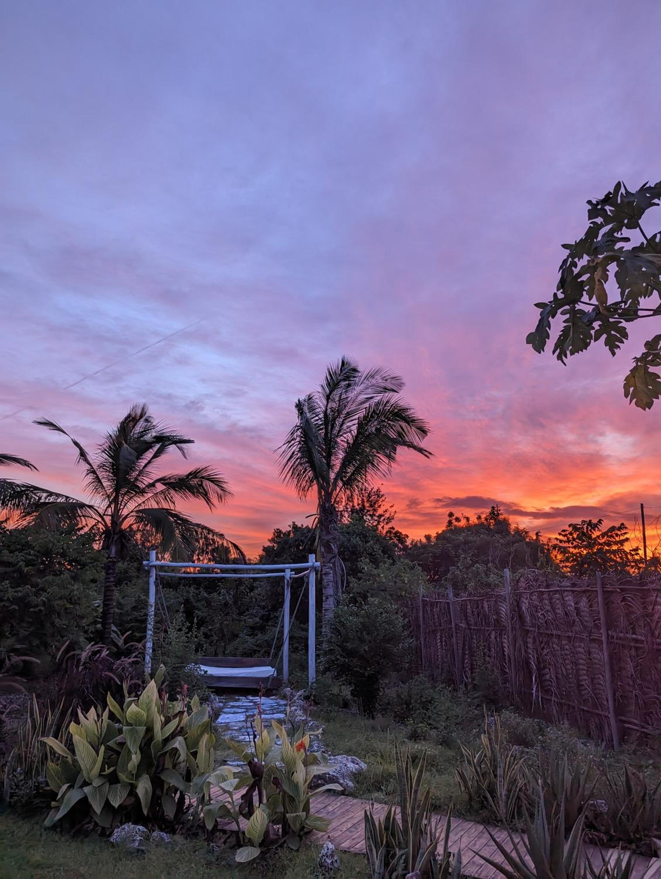 Jambiani Backpackers Hostel view 5