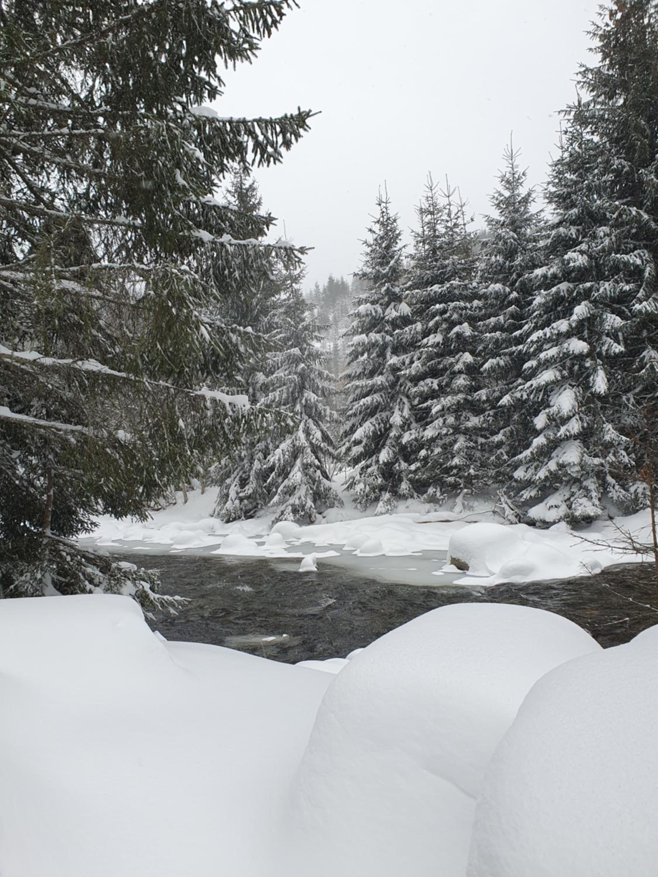 Gray River Resort view 5