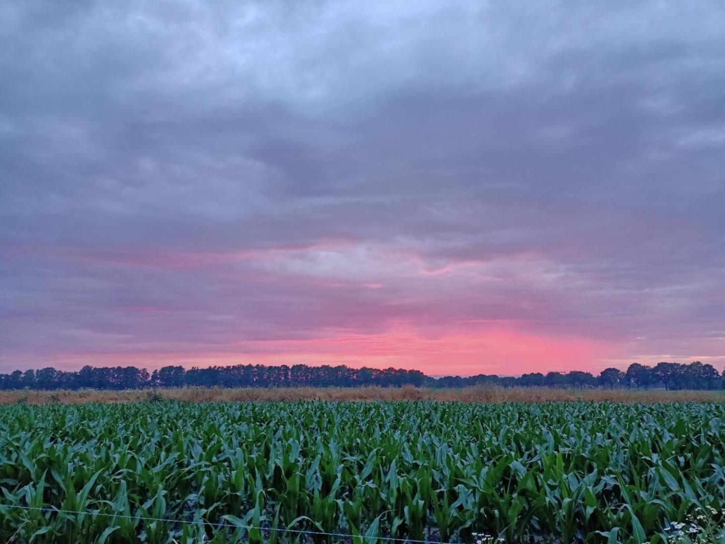 Boerderijcamping het Katreel view 4