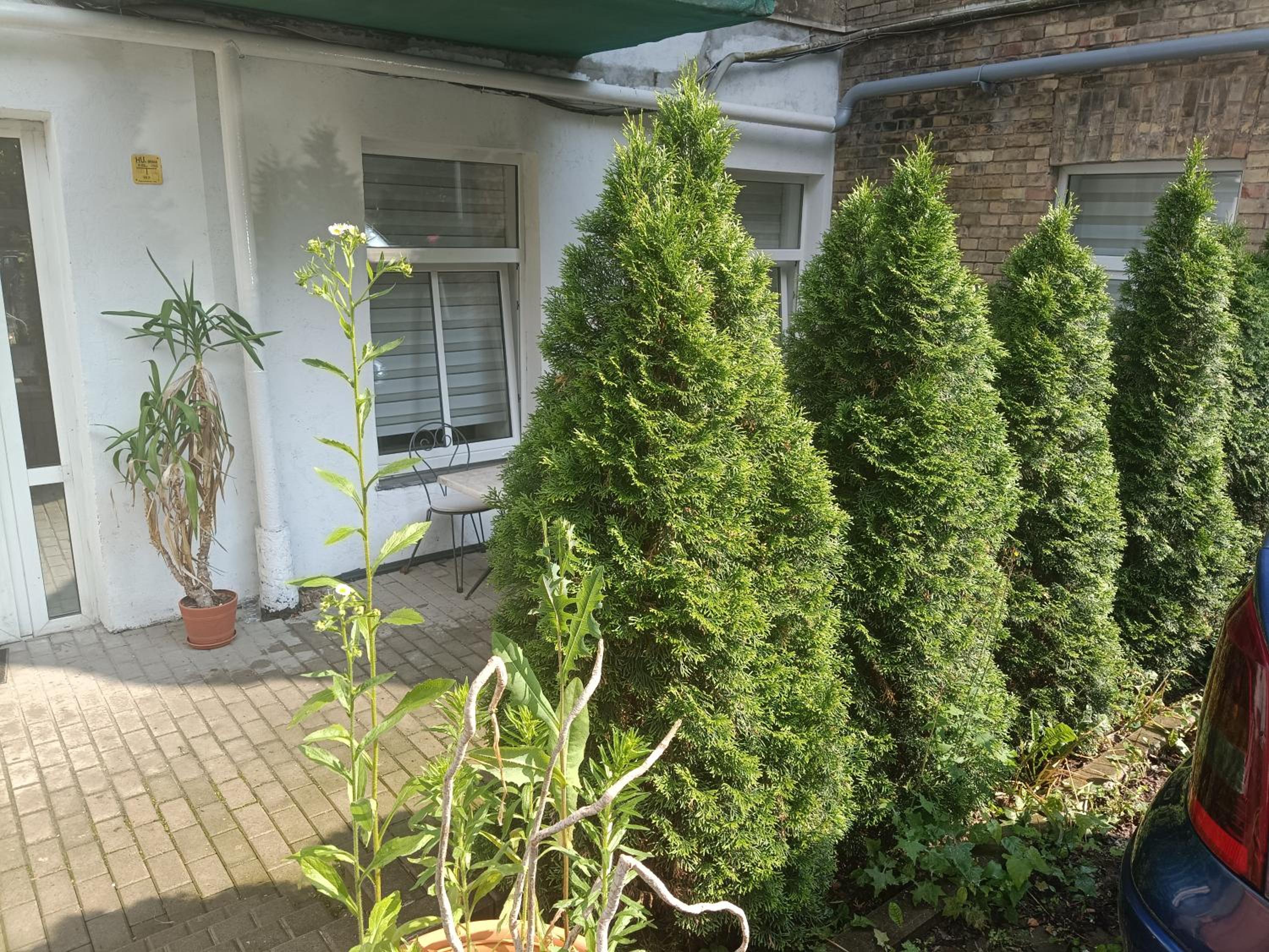 Apartment with terrace