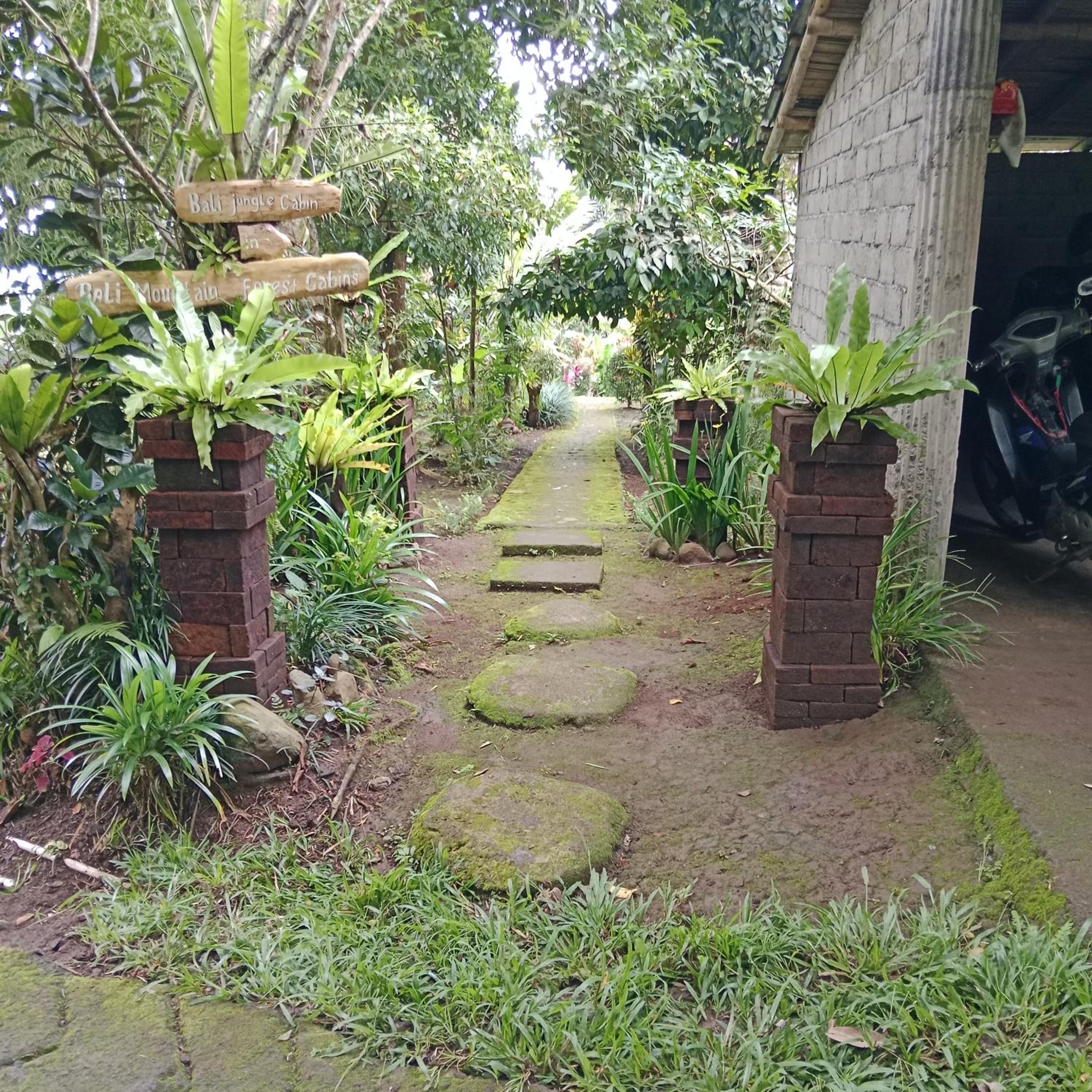 Bali mountain forest cabin view 3