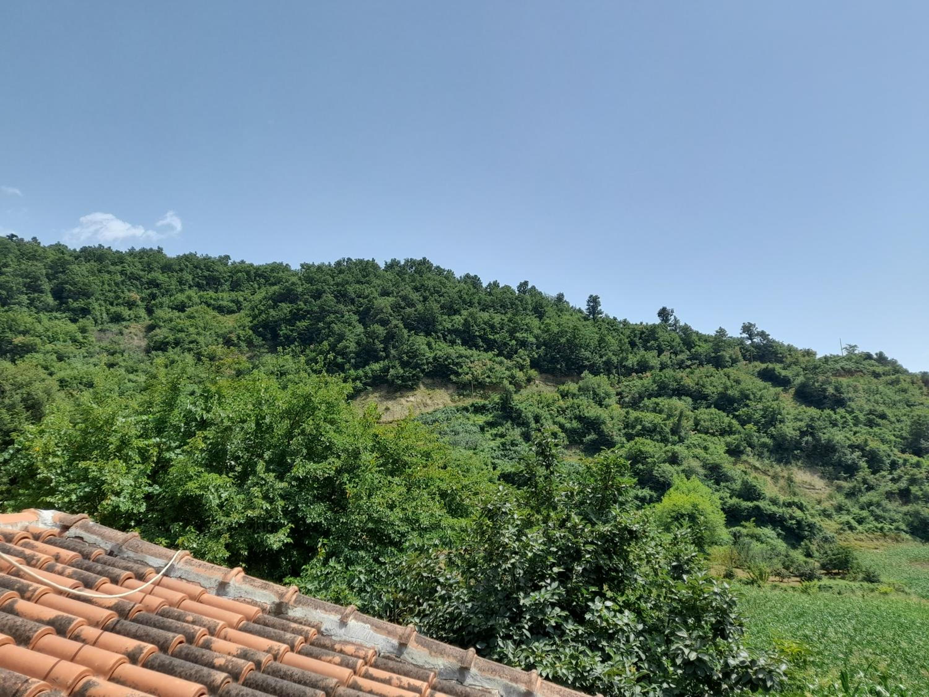 Vojfarm